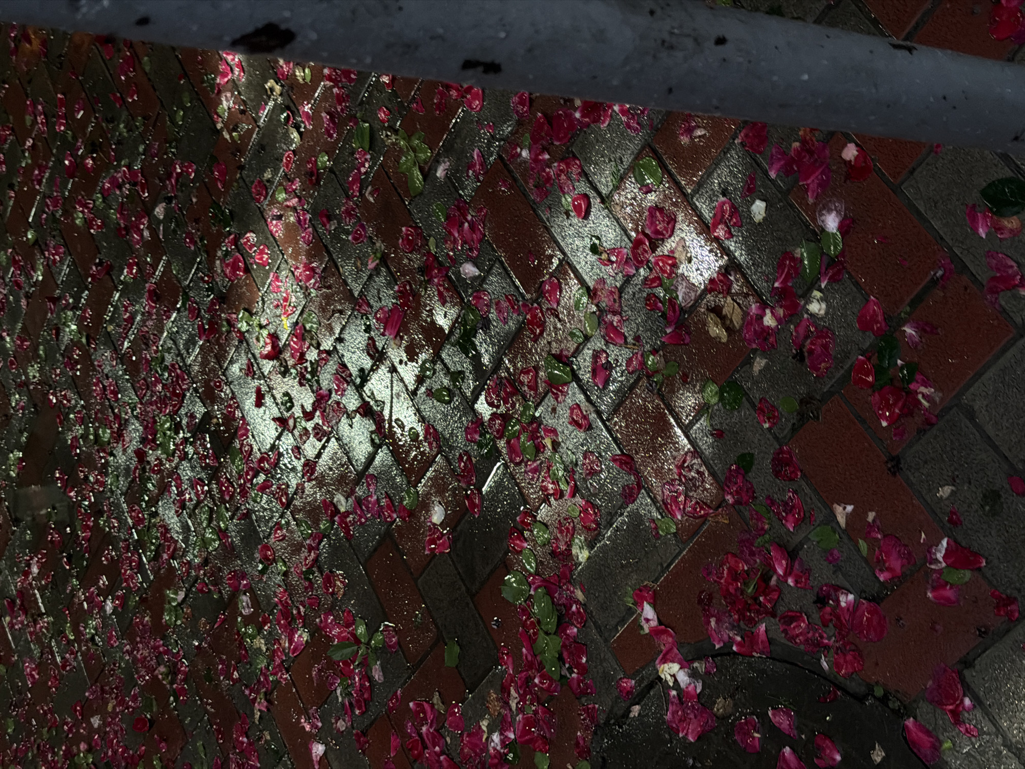 The image depicts a herringbone pattern brick sidewalk in Bishkek City, Kyrgyzstan, covered with scattered red and pink flower petals and green leaves. The bricks appear wet, possibly from rain, and some have a reflective surface due to the moisture. A gray metal rail is visible in the upper portion of the frame. The overall lighting is dim, giving the scene a somber tone.