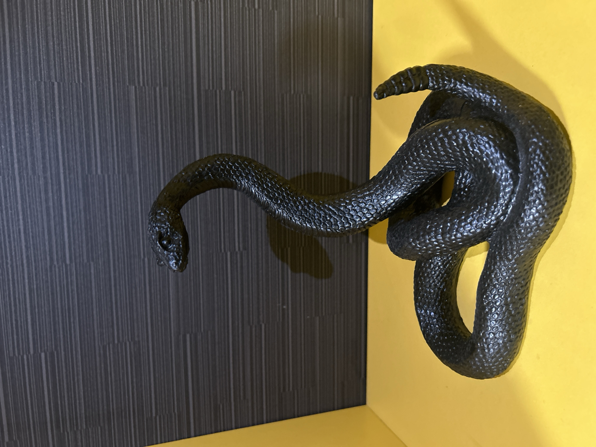 A black, sculpted snake appears to be emerging from the corner of a room. The snake is positioned with its head extended toward the left and its body coiled on the right. The room's wall is divided into two sections: the left side features a dark gray, vertically-lined surface, while the right side is a bright yellow. A horizontal yellow stripe is at the bottom. The room could be in Varna, Bulgaria, but that is not possible to verify from the image.