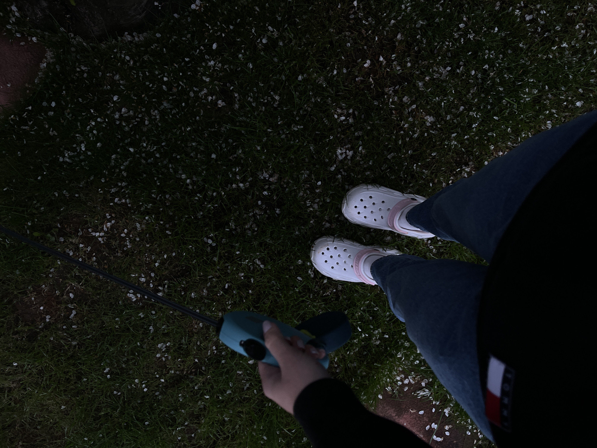 The image, taken from a high angle looking down, shows a person standing on dark green grass heavily covered with small, white petals. The setting appears to be outdoors, possibly a garden or park in Sofia, Bulgaria, under low light conditions, suggesting dusk or early night.
The person is wearing white, Crocs-style shoes with light pink accents, blue jeans, and a dark long-sleeved top. On the left side of the frame, their right hand is visible, holding a light blue/teal handheld device that has a black button or knob. A black cable or leash extends from the device towards the left, out of frame. The device resembles a remote control for an electronic gadget.
A small rectangular logo, featuring red, white, and blue stripes, is visible on the upper arm of the person's dark top. This logo appears to be that of Tommy Hilfiger. The activity captured seems to involve the person operating or controlling something with the handheld device while standing on the petal-strewn grass.