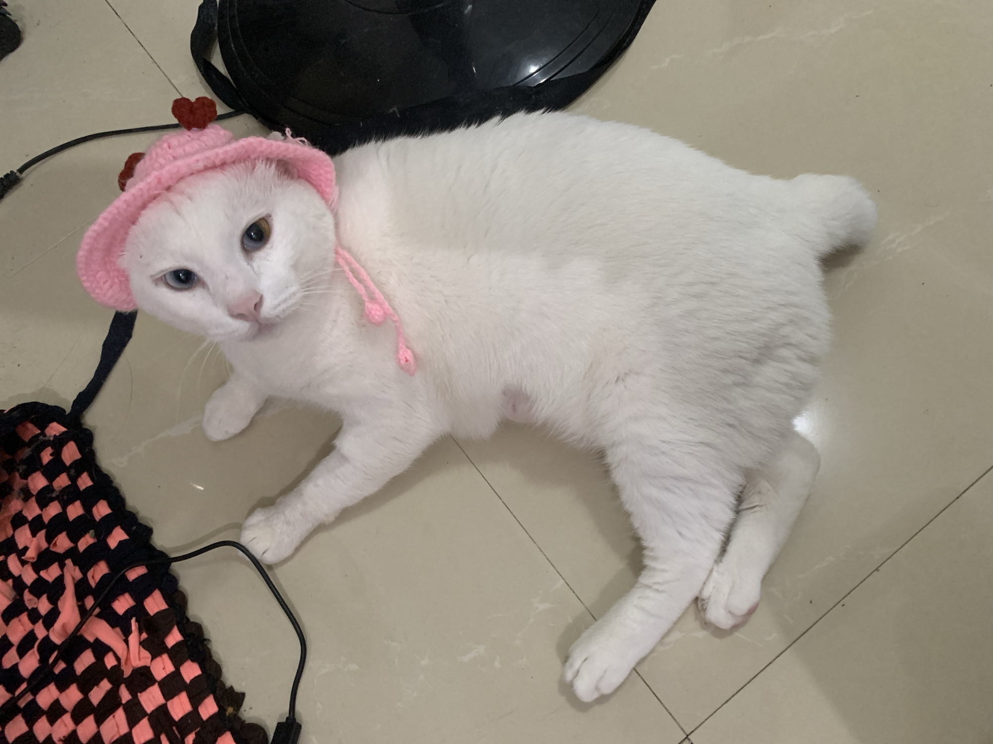 An all-white cat with heterochromatic eyes, one blue and one brown, is lying on its back on a tiled floor. The cat is wearing a small, pink knitted hat with two red heart decorations on the side. A pink string from the hat dangles down. In the background, to the left, is a woven mat with a pink and black checkered pattern, and a black wire is draped over it. To the right, a large black object, possibly a speaker or a dish, is visible. The overall lighting suggests an indoor setting. The image composition is a top-down view of the cat. There is no information in the image to determine its location in Sukawati, Indonesia.