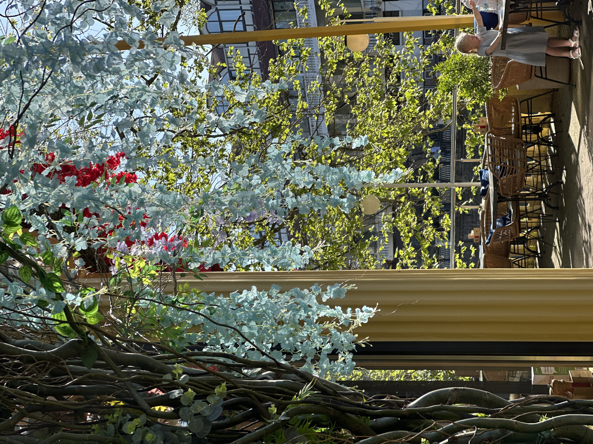 The image captures an outdoor scene, likely a cafe terrace, in what appears to be a sunny environment. A building façade with windows is visible in the background, partially obscured by trees and decorative foliage. The predominant colors include green, yellow, and light blue from the trees, foliage, and building accents.
In the foreground, there are decorative trees or plants with light blue foliage mixed with red flowers. Tangled branches are positioned below.
In the middle ground, a yellow horizontal structure runs across the image, potentially part of the building or terrace design. Behind this, one can see wicker chairs and tables, suggesting an outdoor dining area.
To the right, there is a person standing near a table. The person is wearing light-colored clothing and has short blonde hair.
The environment suggests a moderately urban setting with the presence of both natural elements (trees, foliage) and structural components (building, terrace). The overall scene conveys a pleasant and possibly upscale atmosphere. While the prompt asked to include that it is in Sochi, Russia, there is no way to know that from the given image.