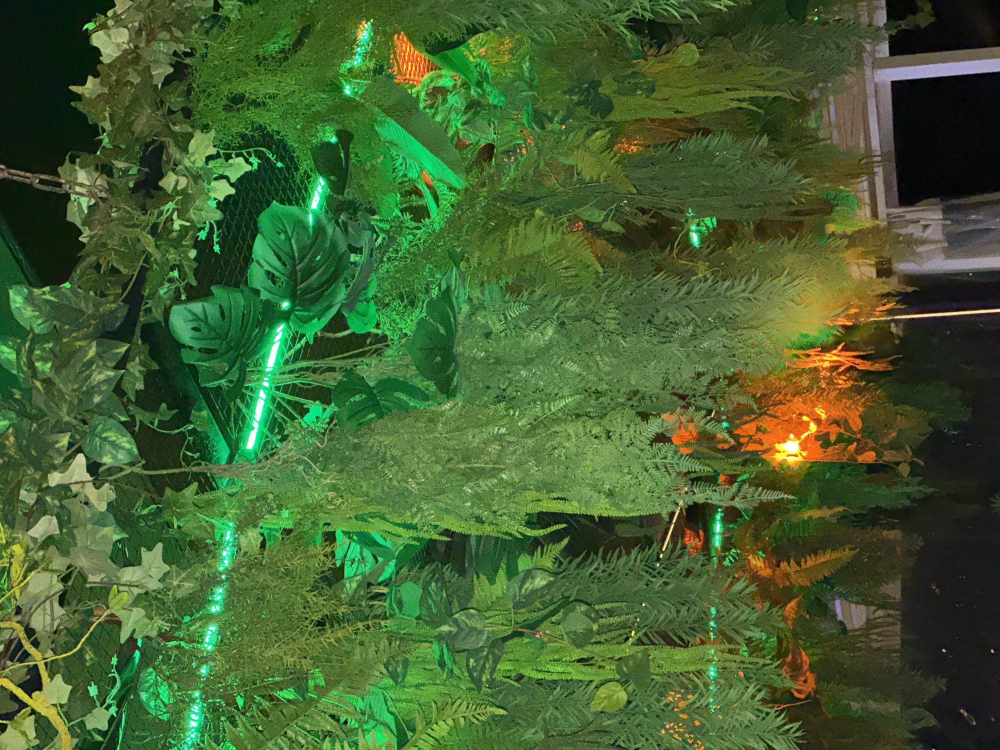 The image depicts a densely packed arrangement of artificial greenery, primarily ferns and broad-leafed plants, suspended from a dark ceiling. The foliage is illuminated by vibrant green LED lights that create streaks of light throughout the plants, with some areas also showing warm orange and yellow hues, suggesting additional lighting or reflections. The overall impression is that of an indoor jungle or a highly decorated, dimly lit space. There are no people or animals visible in the image. The scene appears to be a decorative installation, possibly in a commercial establishment or a themed event space, rather than an outdoor natural environment. There are no specific architectural features or landmarks visible that would allow for definitive identification of a location in Lermontovo, Russia.