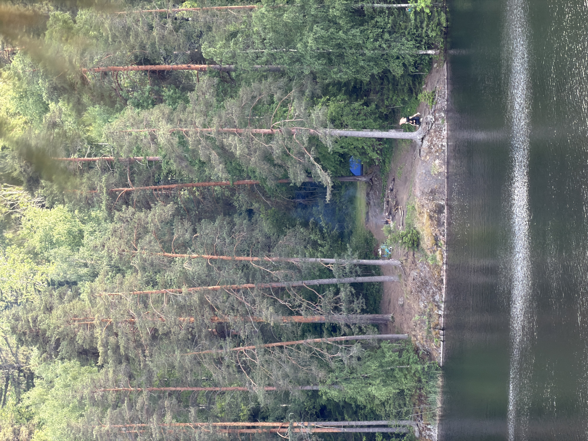 The image depicts a serene natural landscape with a dense forest bordering a dark, reflective body of water. The forest consists of tall, slender pine trees with a mix of deciduous trees and undergrowth. On the right side of the frame, a clearing in the trees reveals a campsite with a small blue tent, a campfire pit with embers, and a few scattered items. Two individuals are visible near the campsite; one is sitting on the ground, and the other, a child, is being carried on someone's shoulders. Further to the left, closer to the water's edge, a person is seated on the bank. The water itself is calm, with ripples creating a shimmering effect on its surface. The overall scene conveys a sense of peaceful recreation in a wilderness setting. The location is identified as being in the city of Ruch'i, Russia.