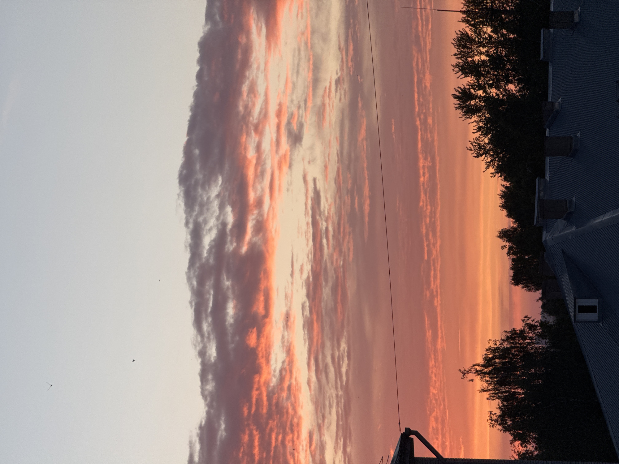 The image depicts a sunset in Zav'yalovo, Russia. The sky is filled with long, striated clouds tinged with orange and pink hues from the setting sun. In the foreground, silhouetted trees and the edge of a building with chimneys are visible. A power line stretches across the sky. Several birds are flying in the distance. The image is rotated.