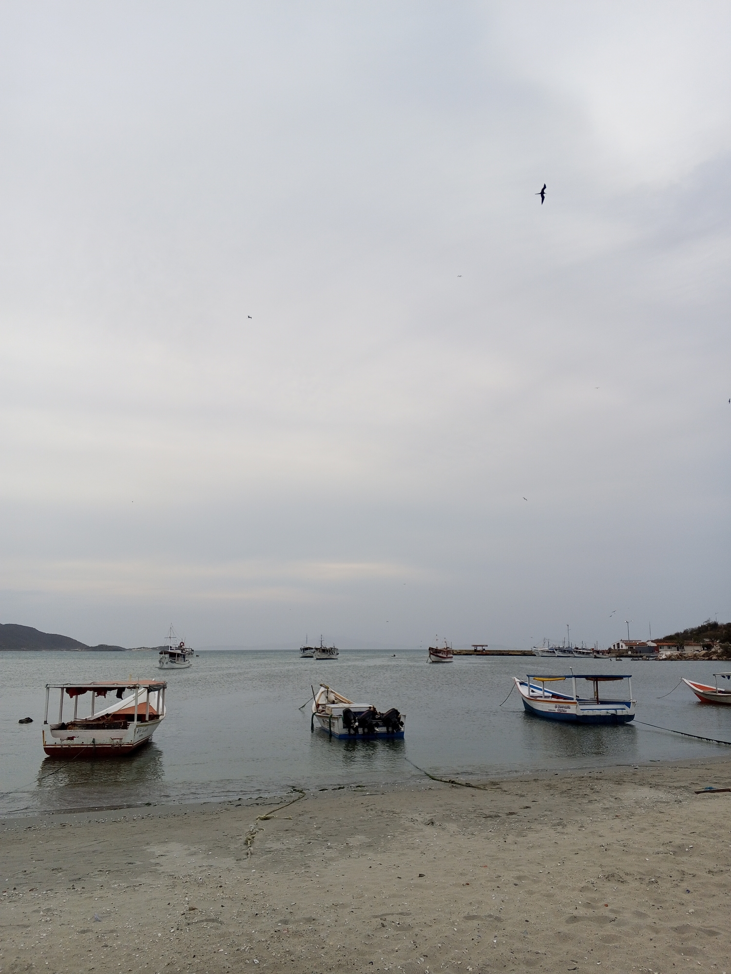 The image depicts a beach scene in Juan Griego, Venezuela, under an overcast sky. Several small fishing boats are anchored close to the shore. The beach is sandy with visible footprints and scattered shells. In the background, there are more boats, some docked at a pier, and buildings along the coastline. A bird is flying in the sky.