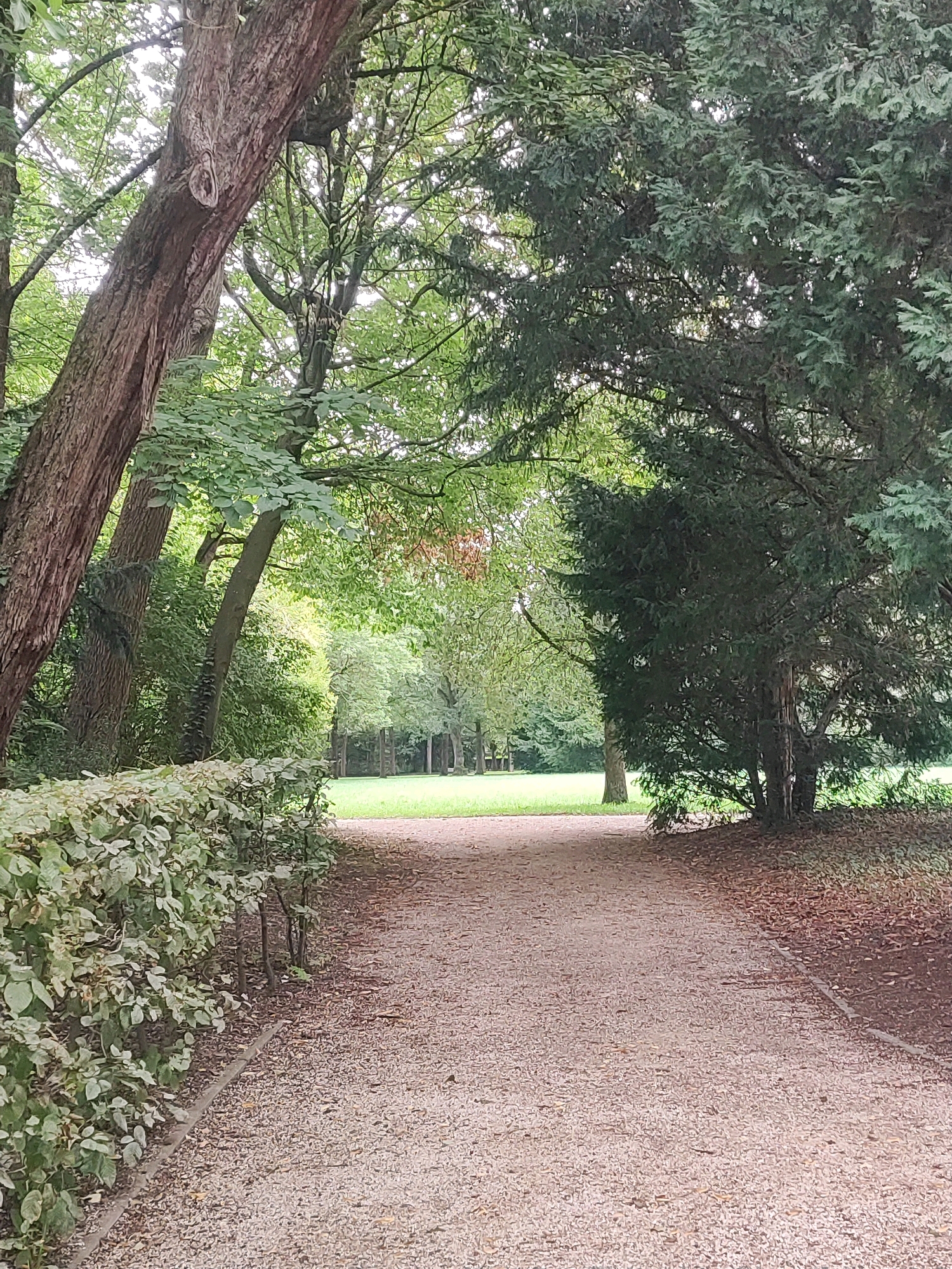 The image shows a gravel path leading into a park area in Ansbach, Germany. On the left side of the path, there is a neatly trimmed hedge and large trees with dense foliage. On the right side, there is a large evergreen tree casting shadows on the path, which is covered with fallen leaves. In the distance, more trees and a large grassy area are visible. The lighting suggests it is daytime, possibly overcast. There are no people or animals visible in the scene.