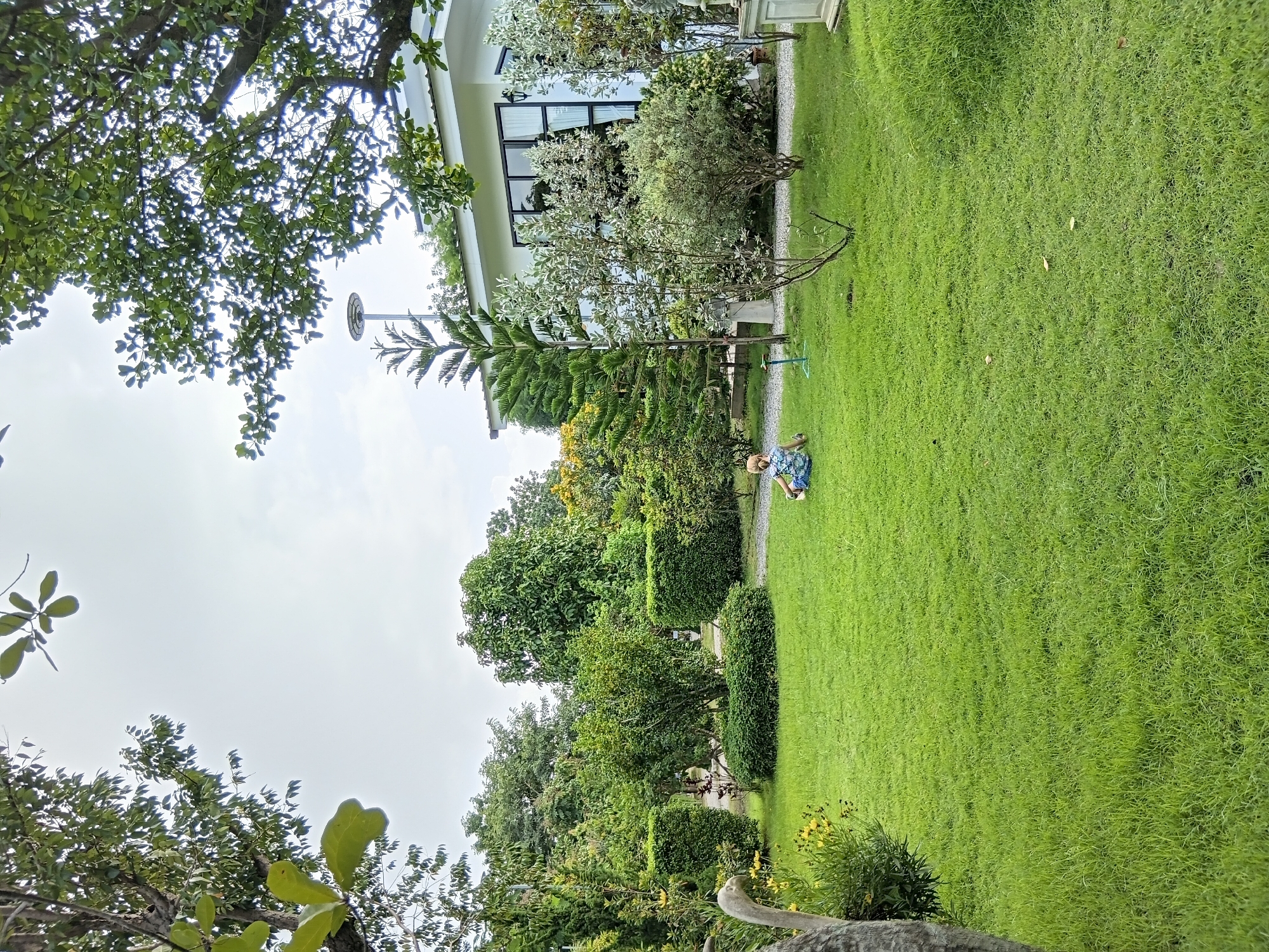 This is a full-shot photograph of a manicured garden with a modern white house in the background. A young child, wearing a blue and white patterned outfit, sits on the bright green grass in the center of the frame. The child's back is to the camera, and they appear to be looking towards the right. The garden features neatly trimmed hedges, a variety of trees, and a pathway made of gravel. The house has large windows and a white roof. The sky is overcast, suggesting a cloudy day. The location is identified as Ban Tong, Thailand.