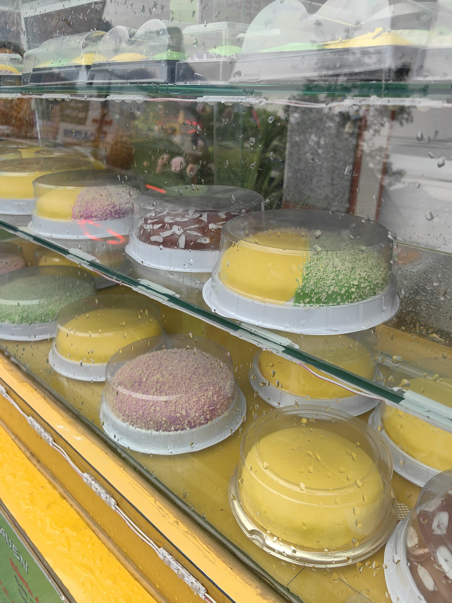 The image shows a display case filled with individual cakes, likely in Thành phố Hà Giang, Vietnam. The cakes are circular, each housed in a clear plastic container with a white base. Some cakes are entirely yellow, while others are split into yellow and another color (green, pink, or brown). A layer of what appears to be fine crumbs or sprinkles covers the colored sections. The display case has multiple shelves, creating rows of cakes. Water droplets are visible on the glass, suggesting it has recently rained or is humid. The shelves and framing of the case are yellow, and a reflection of foliage can be seen through the glass.