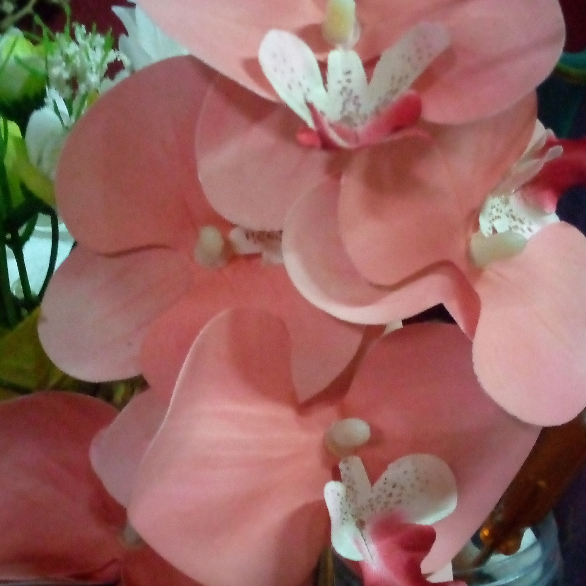 A close-up, slightly blurry photograph captures several soft pink orchid petals. The orchids appear to be artificial, with a velvety texture and some with subtle white markings and dark speckles on their inner surfaces. In the background, glimpses of green foliage and a hint of dark red or maroon suggest a floral arrangement or decorative setting. The lighting is soft, casting gentle shadows and highlighting the smooth curves of the petals. There are no people or specific landmarks visible that would indicate a location in Sumberwono, Indonesia.