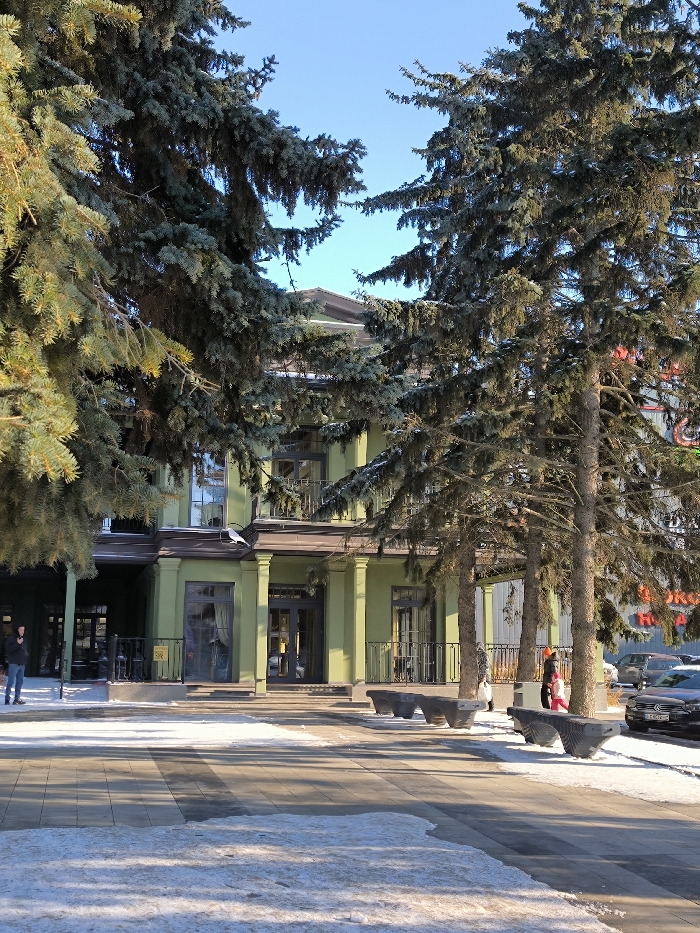 This image displays a two-story light olive green building in Vinnytsia, Ukraine, seen on a sunny day with clear blue sky. The building features a main entrance with dark double doors, flanked by columns supporting an overhang, and multiple large windows with dark frames, some on the second floor having small decorative railings. Several tall evergreen trees, possibly fir or spruce, partially obscure the building, with their branches extending above the roofline. The foreground consists of a paved walkway or plaza with alternating light and dark sections, partially covered by patches of snow. Shadows from the trees and building are cast across the paved area. On the left, a single individual in dark attire stands near a side entrance. On the right, two individuals are visible behind a series of dark, low-lying benches or planters, with one person wearing an orange head covering. A parking lot with several vehicles is visible in the background on the far right, beyond the trees and benches, with indistinct commercial signage above it.