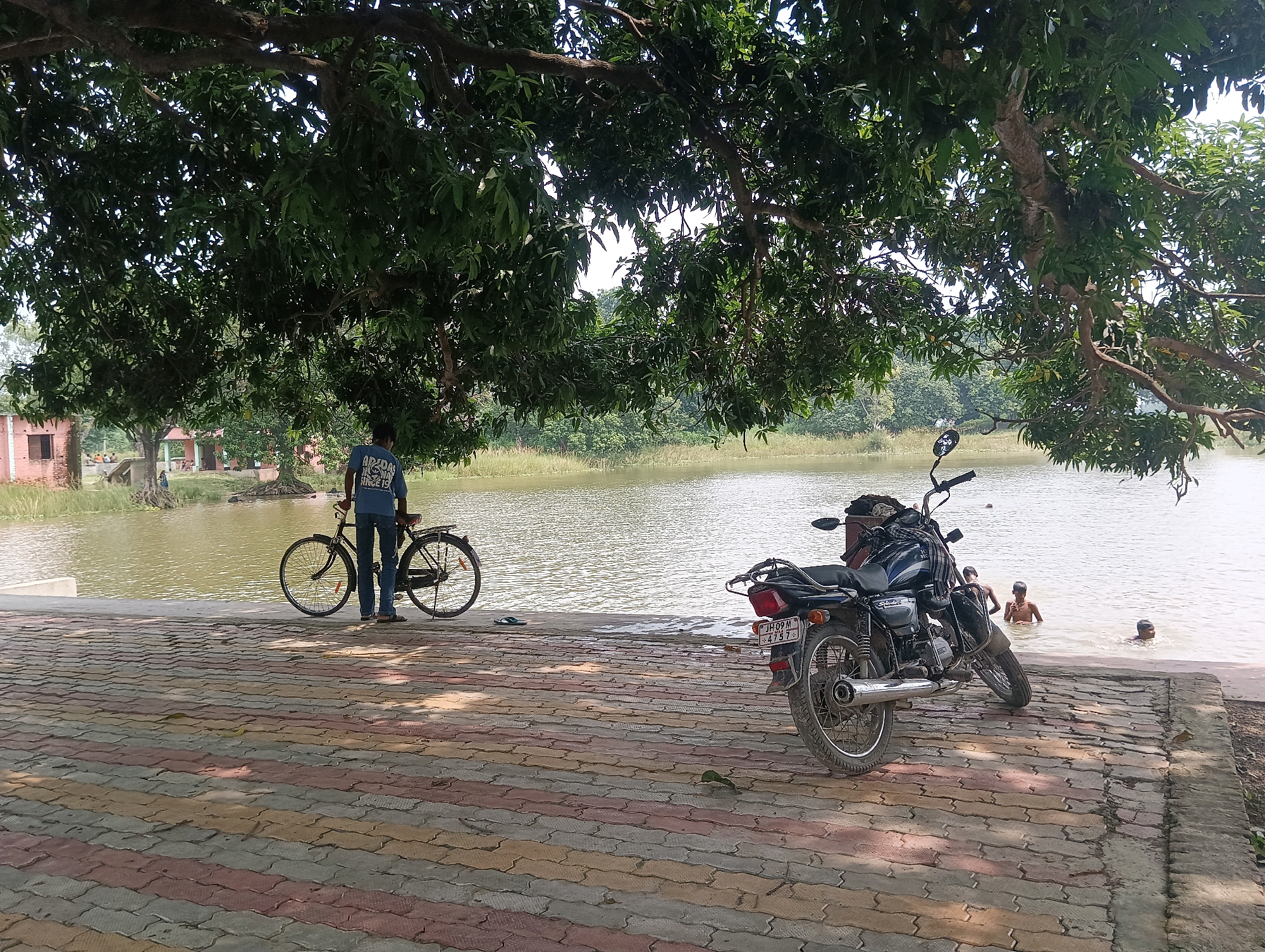In Kesari, India, a serene waterside scene unfolds under a lush green canopy of a large tree. In the foreground, a patterned pavement made of interlocking reddish-pink, yellow, and gray bricks lines the edge of a body of water. To the left, a person stands beside a bicycle, their back to the camera, wearing a blue t-shirt and jeans. To the right, a parked motorcycle is positioned facing the water. Several individuals, appearing to be young men, are bathing in the calm, light-brown water. In the background, the opposite bank of the water body features trees and some distant buildings, suggesting a rural or semi-rural setting. The overall atmosphere is tranquil and relaxed.