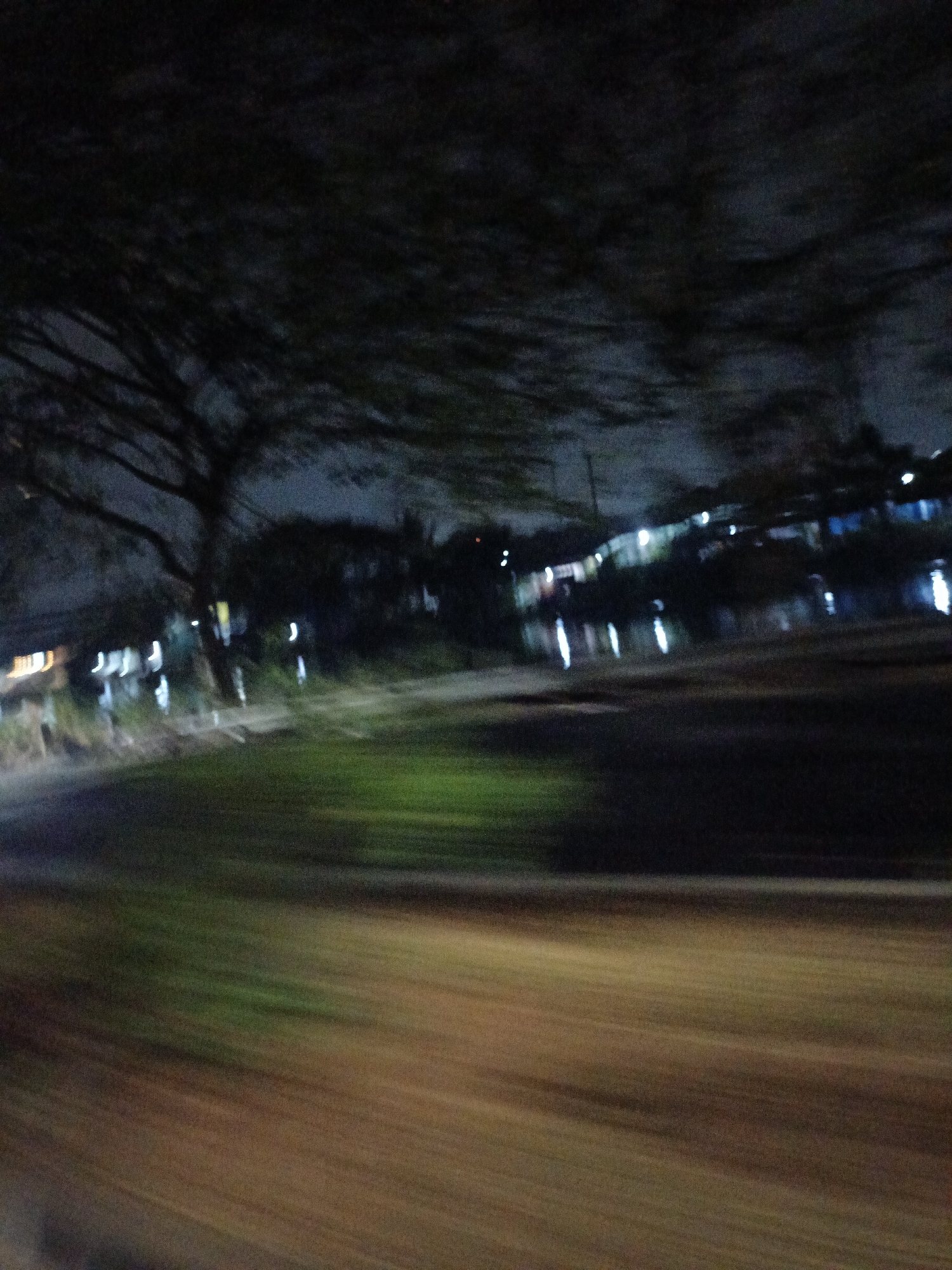 The image depicts a motion-blurred night scene in Wangunharja, Indonesia, likely from a moving vehicle. In the background, lights from buildings and reflections on water are visible. A large tree with visible branches is present on the left side of the frame. The foreground consists of a blurred dirt or asphalt road and some green grassy areas. The overall impression is one of a nighttime landscape with urban elements present.