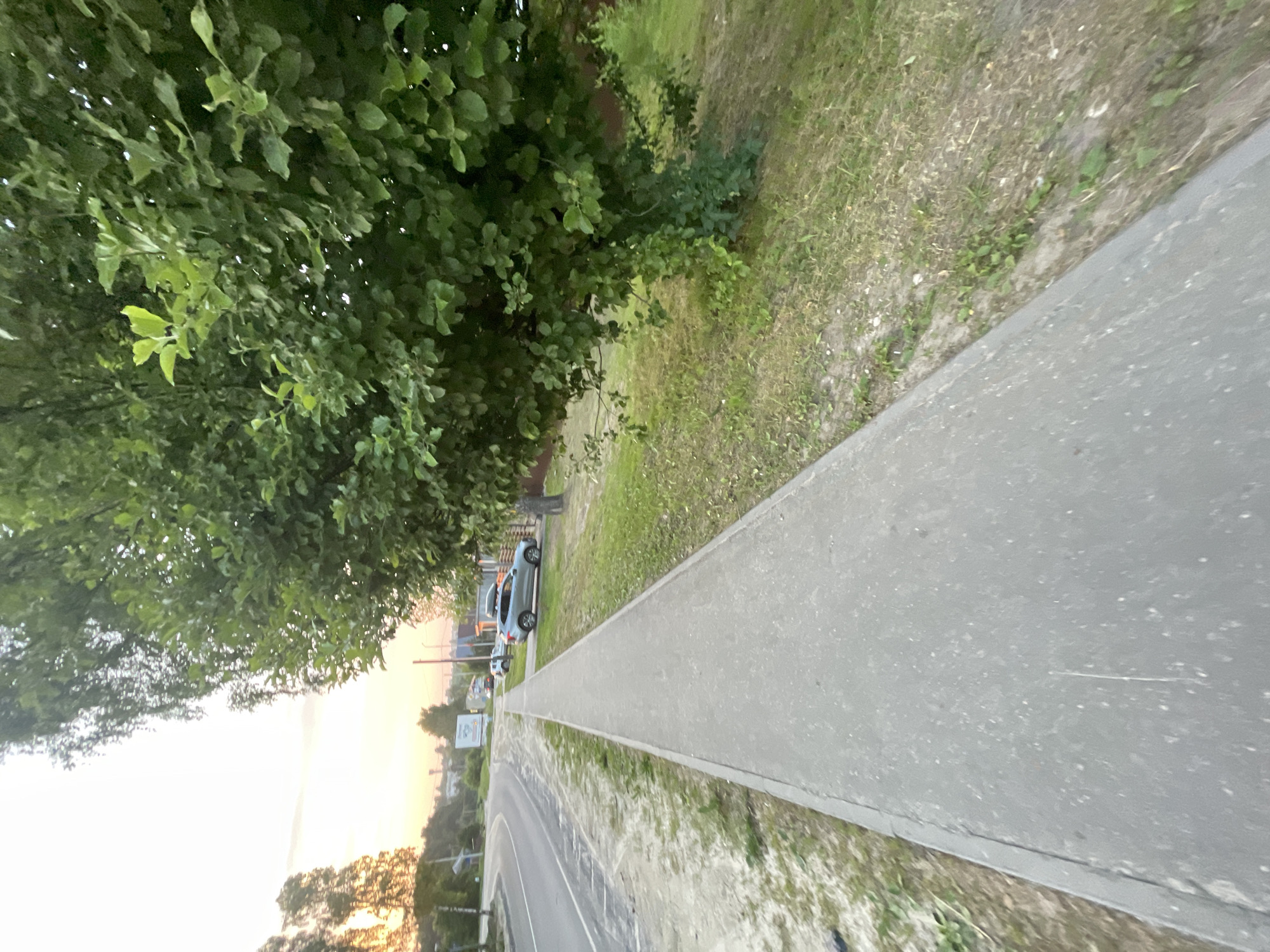 The image depicts a scene in Krasnye Baki, Russia, featuring a paved sidewalk adjacent to a road. A large tree with lush green foliage dominates the right side of the frame, casting shadows. The road curves to the left, with a few cars visible in the distance. The sky suggests it is either sunrise or sunset, with soft, warm lighting. The environment appears to be a suburban or rural area with a mix of paved surfaces and grassy verges.