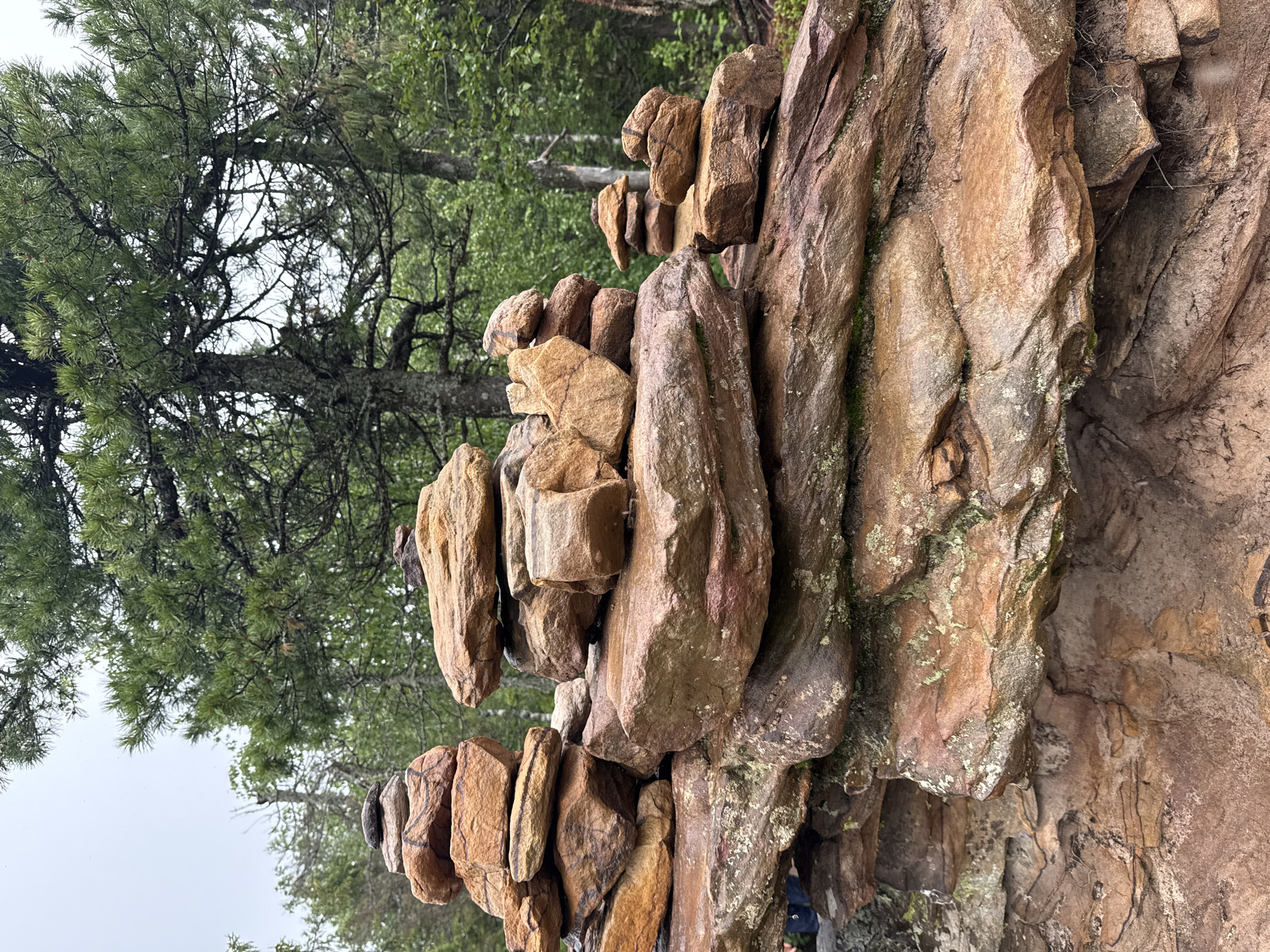The image depicts a cluster of rock cairns, which are man-made piles of stones, arranged in a forest environment. The cairns vary in size and complexity, with some stacked in careful columns and others appearing more haphazard. The rocks themselves are predominantly earthy tones of brown and orange, with some showing signs of moss and lichen growth, indicating exposure to the elements. In the background, tall evergreen trees with dense green foliage form a natural backdrop. The sky is overcast, suggesting a cloudy or rainy day. The overall scene conveys a sense of nature and human intervention within it. There are no identifiable people or specific structures visible that would indicate a location within the city of Shumikhinskii, Russia.
