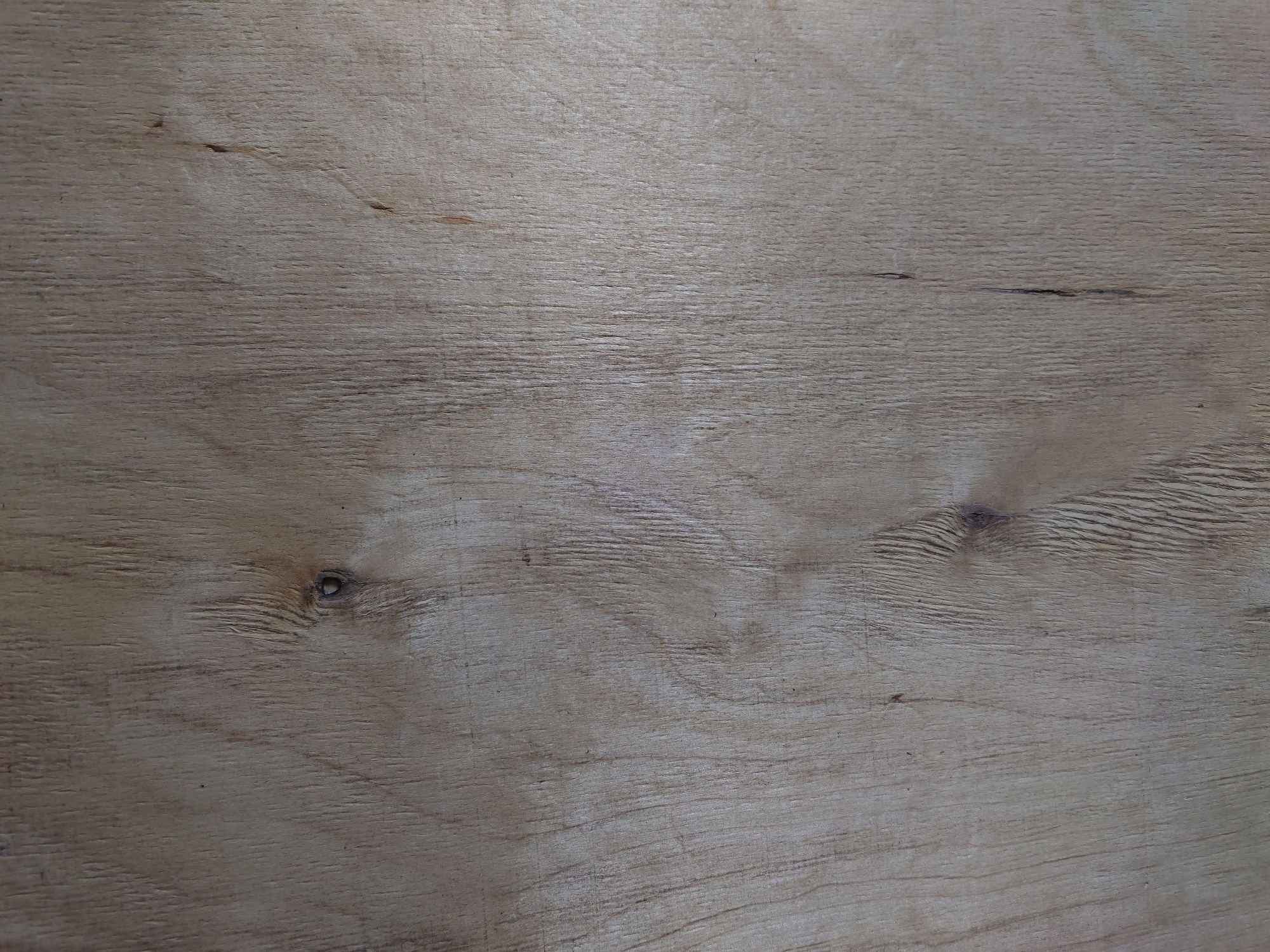 The image is a close-up, high-angle shot of a light-colored wooden surface. The wood exhibits a visible grain pattern running horizontally across the frame, with variations in tone and texture. There are several small knots and imperfections present in the wood. The lighting appears even, casting minimal shadows and highlighting the wood's natural features. This image is a flat lay of a wooden surface, likely a tabletop or plank of wood. There is no indication of the city of Belorechensk, Russia, or any elements that would place it geographically.