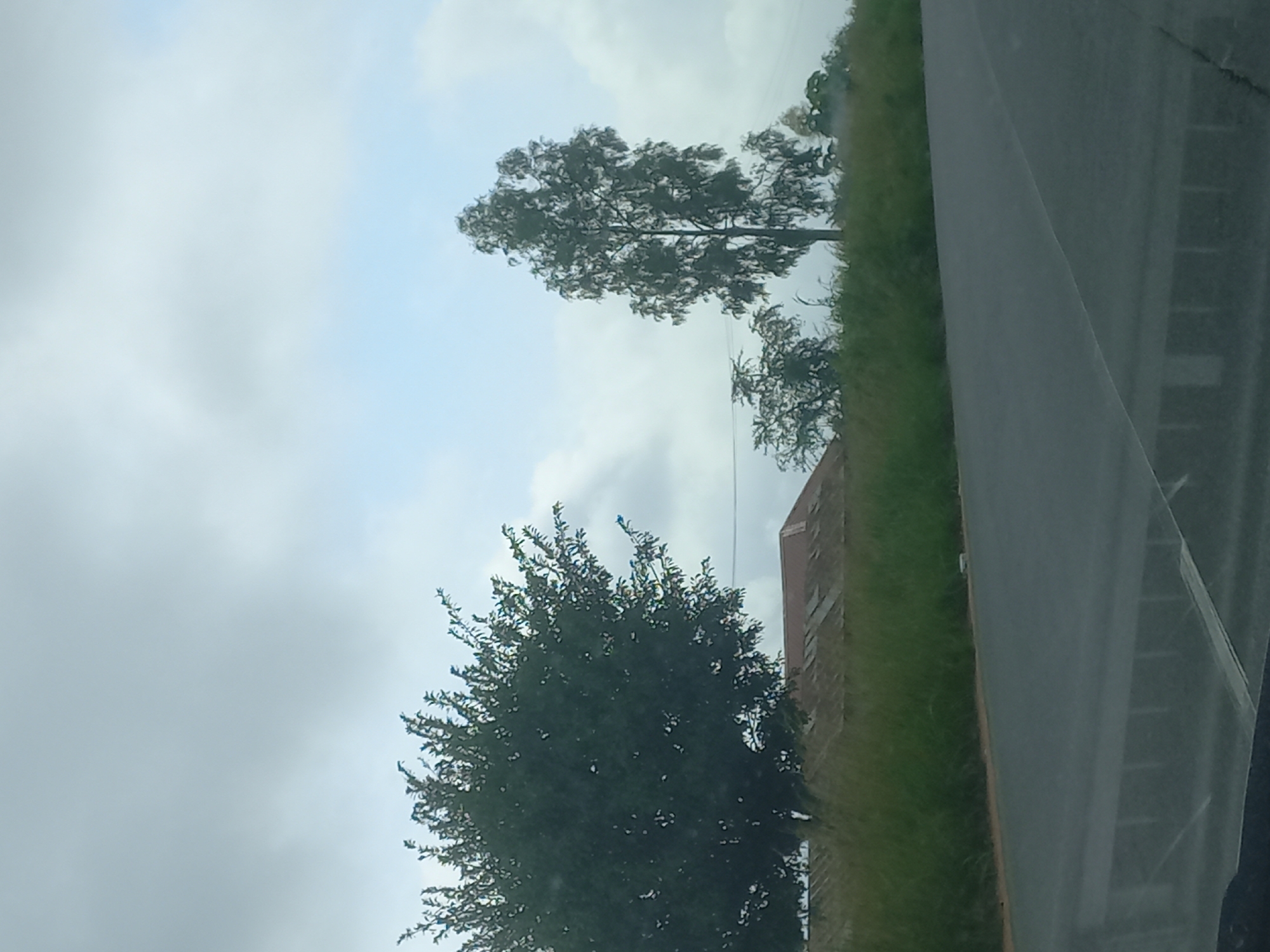 A cloudy, overcast sky looms above a rural landscape. In the foreground, a paved road stretches across the frame, with a grassy shoulder to the left. Beyond the grass, a long, low-lying building with a rusty, corrugated metal roof is visible. Two trees stand out: a large, bushy tree on the left and a tall, slender tree on the right. The overall scene depicts a quiet, somewhat desolate rural setting in Mangu Halle, Nigeria.