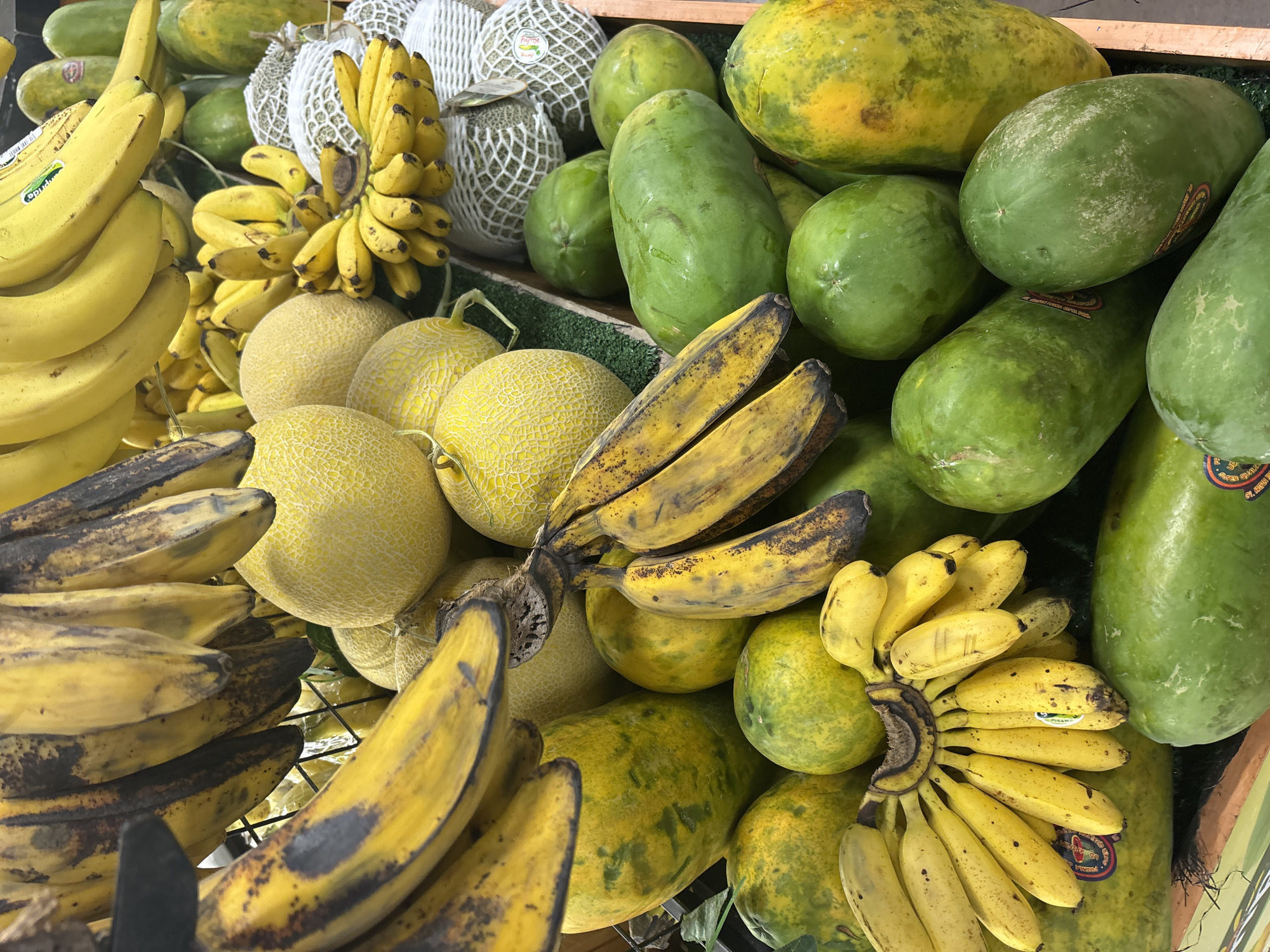 A variety of ripe fruits are displayed for sale in a market stall. Prominently featured are bunches of bananas, some appearing slightly overripe with brown spots. Alongside the bananas are several honeydew melons, their netted rinds visible, and also a large quantity of green papayas, some showing yellowing. The fruits are arranged in bins, suggesting a commercial setting. The overall impression is of a bountiful harvest ready for purchase. The location is a market in North Jakarta, Indonesia.