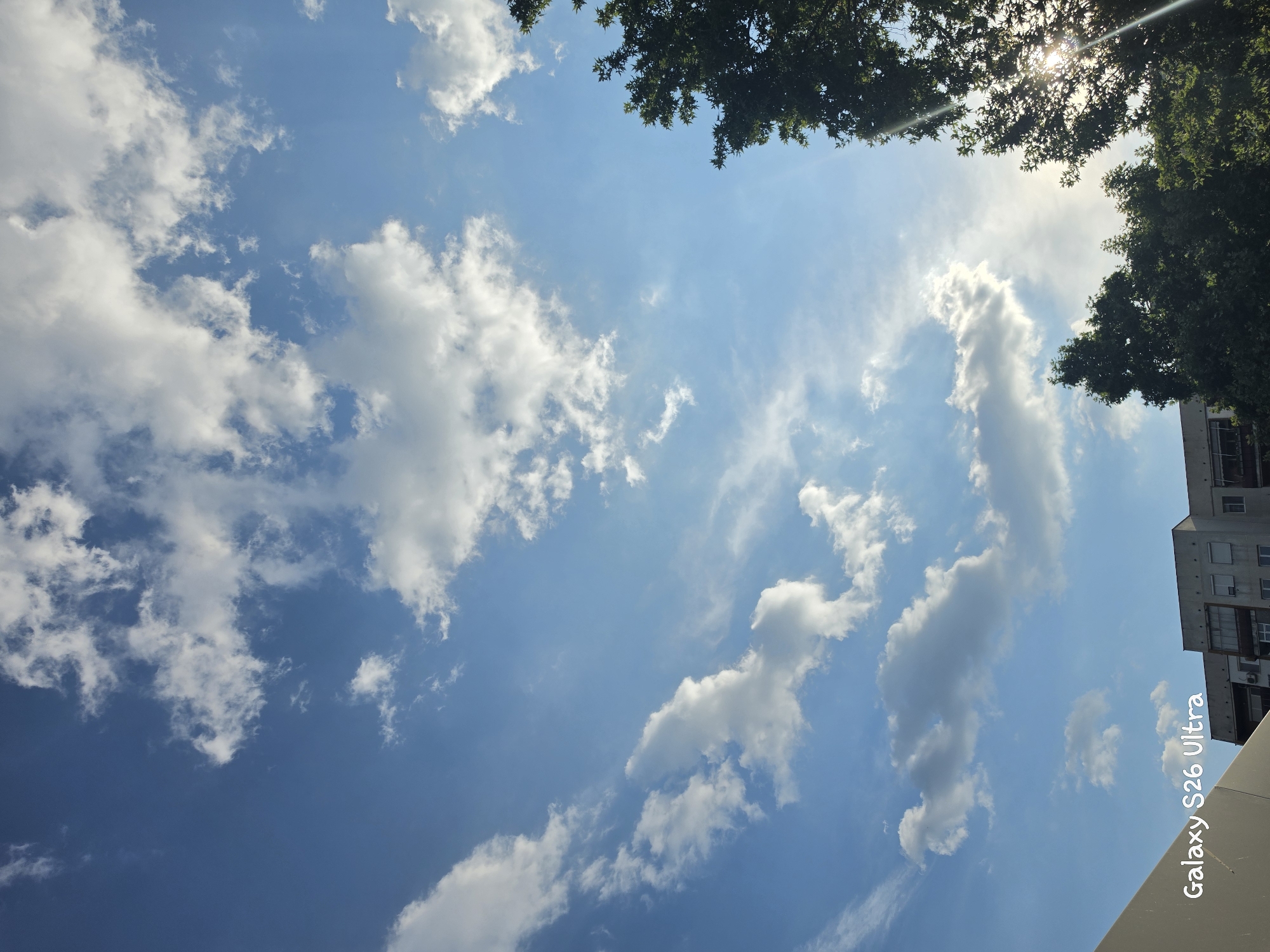 The image shows a view looking up at a bright blue sky with scattered white clouds. Sunlight streams through the upper branches of a leafy green tree on the left and top of the frame, creating lens flare. On the right side, a portion of a modern apartment building is visible, with multiple windows and balconies. The sky is a vibrant blue, and the clouds vary in density and shape, with some appearing fluffy and others more wispy. The sun's rays are a prominent feature, highlighting the textures of the clouds. The image is oriented vertically, suggesting it was taken while looking almost straight up. In the lower right corner, vertically oriented white text reads "Galaxy S26 Ultra". The overall impression is a bright, sunny day, likely in the late morning or early afternoon, given the angle of the sunlight. The scene suggests an urban environment with elements of nature, specifically trees and the sky, within Plovdiv, Bulgaria.