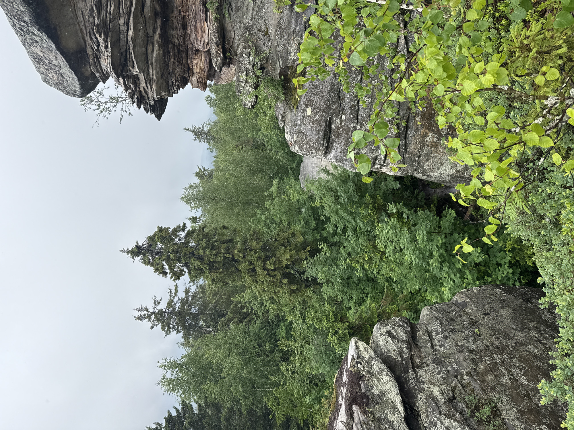 The image depicts a natural landscape characterized by rock formations and a dense forest. In the foreground and to the right, large, layered rock structures are prominent, with some vegetation growing on and around them. The rocks exhibit textures and colors suggesting a weathered, possibly sandstone, composition. Green foliage, including deciduous trees with bright green leaves and coniferous trees, forms the midground and background. The forest appears thick and extends into the distance. The sky is overcast and gray, with a diffused light suggesting a cloudy or rainy day; small white specks in the air could indicate rain or snow. The scene is devoid of any human presence or man-made structures, presenting a purely natural environment. The location is described as being in the city of Shumikhinskii, Russia, which implies this is a natural landmark or area within or near the city.