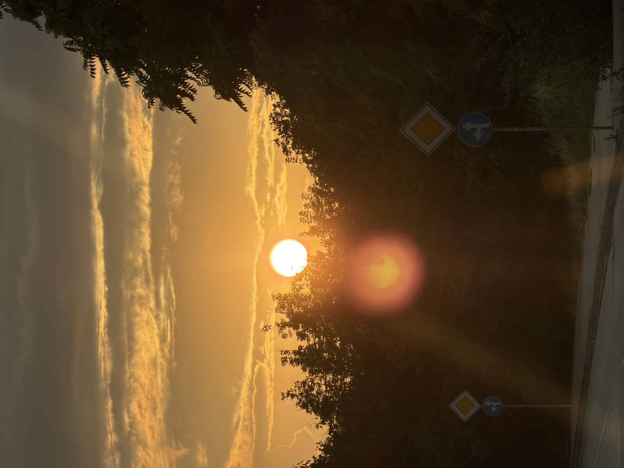 The image captures a sunset over a road in Lovech, Bulgaria. The sun, a bright white orb, is partially obscured by trees and clouds, casting an orange glow across the sky and creating a lens flare effect. The foreground shows a paved road with a sidewalk, bordered by dense foliage and trees. Two road signs are visible: a diamond-shaped sign with a yellow square, indicating a priority road, and a circular blue sign with white arrows, showing the direction of traffic. The sky is filled with horizontally layered clouds, some illuminated by the setting sun, while others are darker and more ominous. The overall scene conveys a sense of quiet transition between day and night.