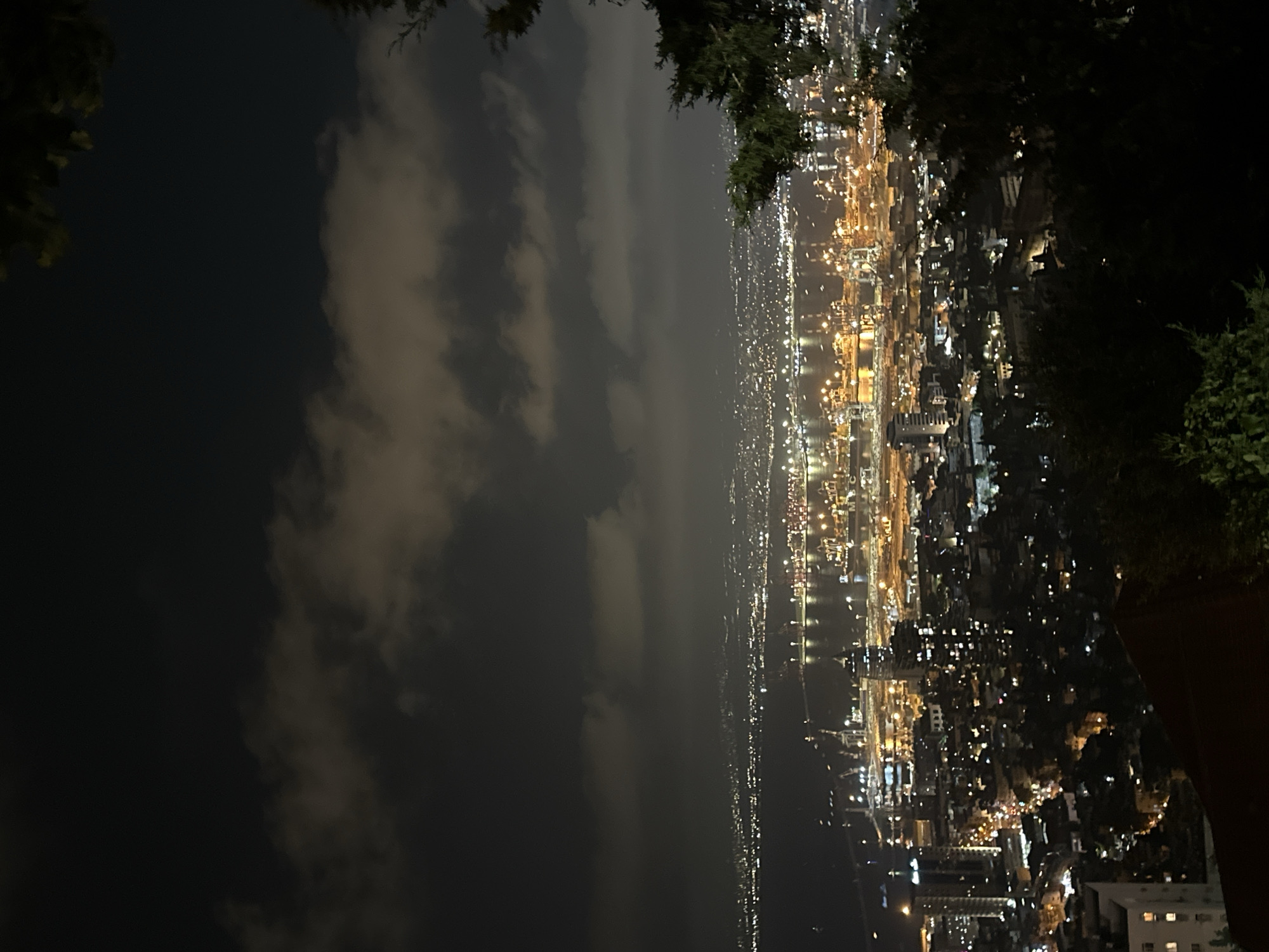 This is a nighttime, high-angle, long-shot photograph of the city of Haifa, Israel, with a focus on the port and city lights. The foreground is dominated by dark, silhouetted trees, framing the view from what appears to be a hilltop or elevated viewpoint. Below the trees, the cityscape stretches out, a dense collection of buildings illuminated by countless small, yellow-orange lights.
The middle ground features the harbor area, a sprawling complex of docks, cranes, and ships, all aglow with bright industrial lighting, predominantly yellow and white. The water of the bay reflects this light, creating streaks and patches of illumination on its dark surface. Further out, the lights of the distant coastline are visible, forming a luminous horizon line.
The sky above is dark, with scattered clouds that are partially illuminated from below by the city lights, giving them a soft, hazy glow. The overall impression is one of a vibrant, active city at night, seen from a tranquil, elevated vantage point. There are no people or discernible actions visible in the image. The weather appears to be clear, with the exception of the clouds.