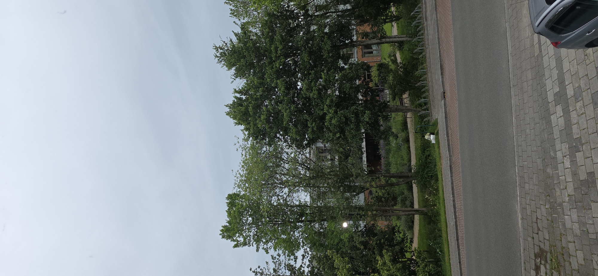 In Marum, Netherlands, an outdoor scene captures a row of trees with lush green foliage lining a walkway. Beyond the trees, a building with multiple floors is visible, featuring windows and balconies. A paved road runs in the foreground, bordered by a sidewalk constructed of grey paving stones. A grey SUV is parked on the right side of the sidewalk. The sky above is overcast, with a pale, light grey hue.