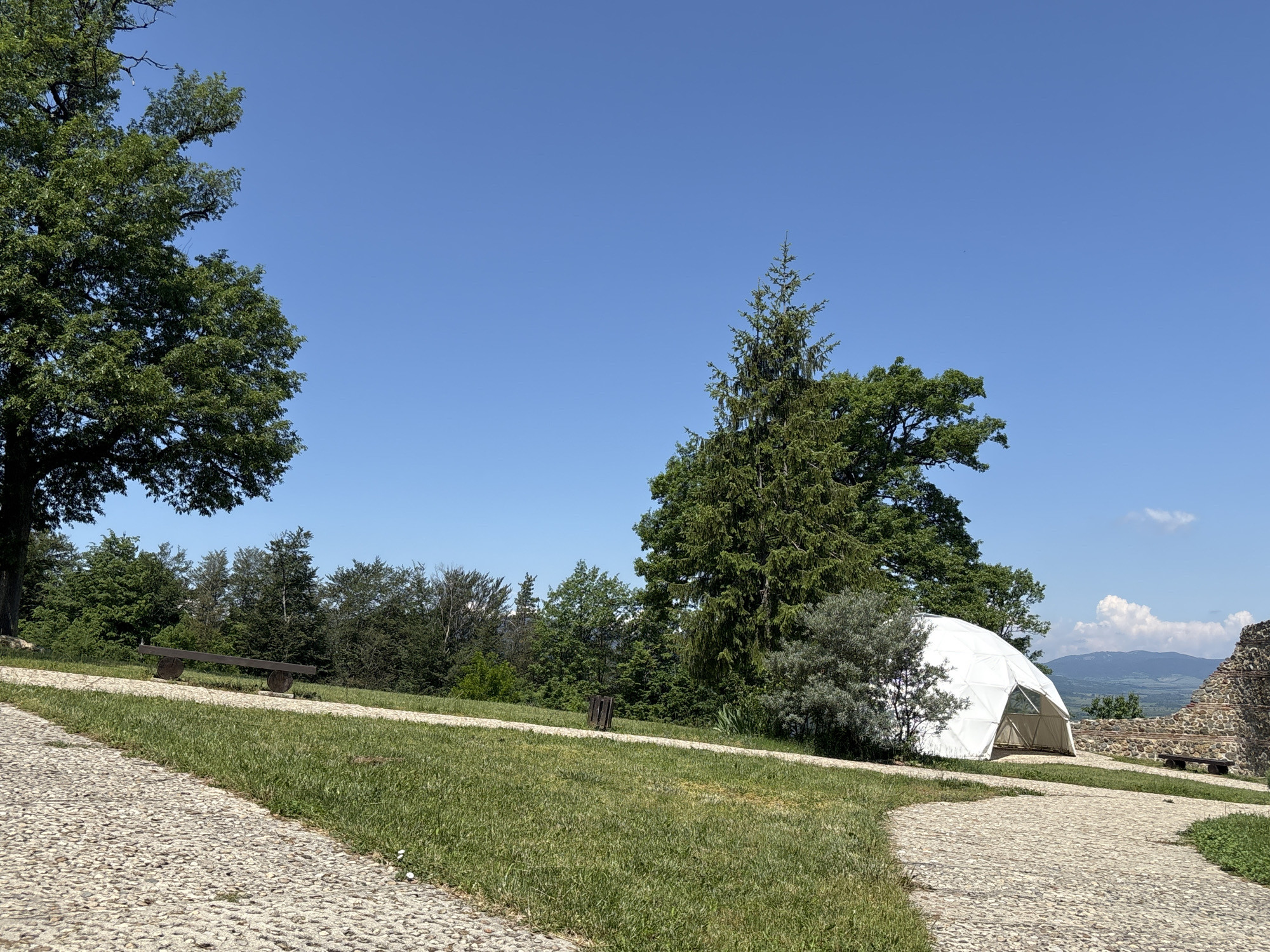 The image depicts an outdoor scene in Belchinski Bani, Bulgaria, under a clear blue sky on a sunny day. In the foreground, two textured stone-cobbled paths curve through vibrant green grass. Small white flowers are visible in the grass near the lower edge of the frame. To the far left, a large deciduous tree with dense green foliage casts partial shade. A rustic wooden bench with circular supports is positioned on the grass to the left of the path. A dark, cylindrical object, possibly a wooden post, stands in the grass near the center. To the right of the path, a tall evergreen tree is prominent, followed by a smaller bushy tree with silvery-green leaves. A large white geodesic dome tent, featuring visible structural elements and a triangular opening, is situated on the grass on the right side of the image. Adjacent to the dome tent, partially visible stone ruins with ancient masonry are present, alongside another rustic wooden bench. The background consists of a dense treeline, and in the far distance, faint mountain ranges are visible beneath the clear sky, with a few white clouds. No people or active interactions are observed in the scene.