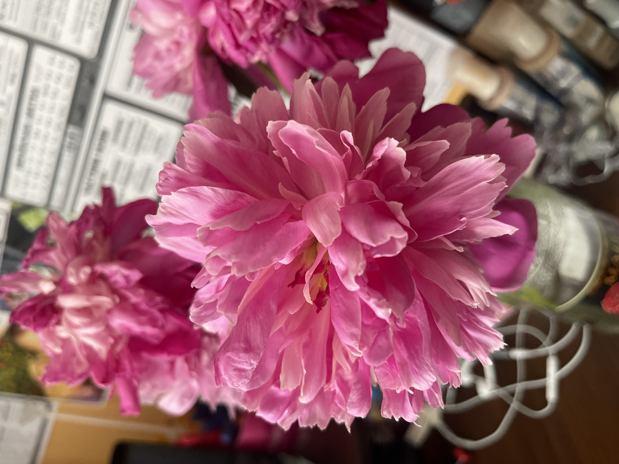 A close-up, vertical shot captures a bouquet of vibrant pink peonies in full bloom. The foreground is dominated by a large, layered peony, its delicate petals unfurling in soft focus. Behind it, other peonies, slightly out of focus, add depth to the arrangement. The flowers are in a vase, partially visible at the bottom right, with a white wire support structure around it. In the blurred background, what appears to be printed text, possibly from a newspaper or magazine, is visible. The lighting is soft, highlighting the texture and color of the petals. The scene is indoors, with a dark wooden surface in the foreground and hints of other objects, possibly toiletries, in the background. No people are present. The location is not specified within the image, and therefore cannot be determined to be Minsk, Belarus.