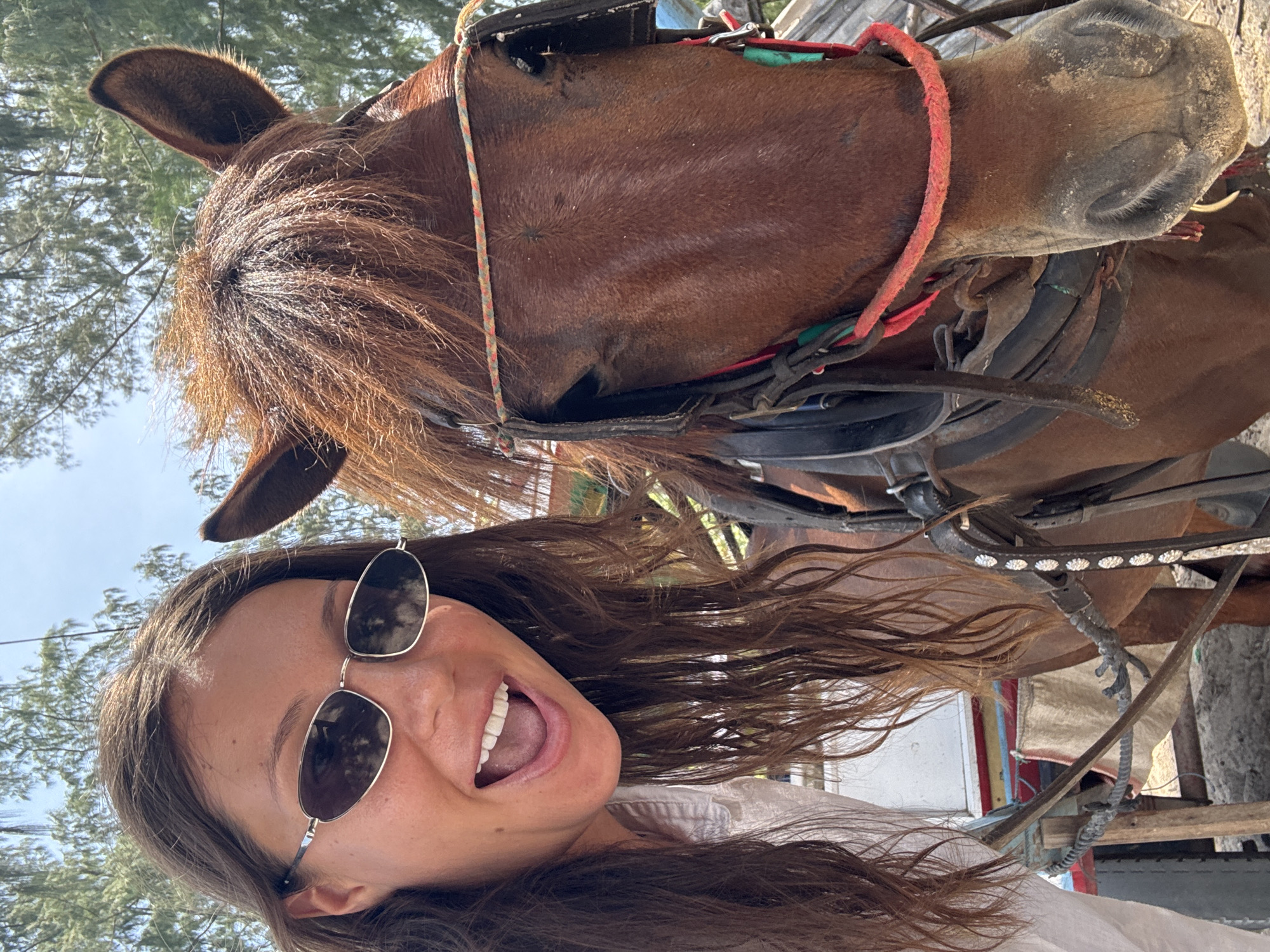A woman wearing sunglasses and a white shirt poses for a selfie with a brown horse adorned with a harness, ropes, and reins. The horse is positioned above and behind the woman. Trees and a building are visible in the background, suggesting an outdoor setting. The location is Unknown, Indonesia.