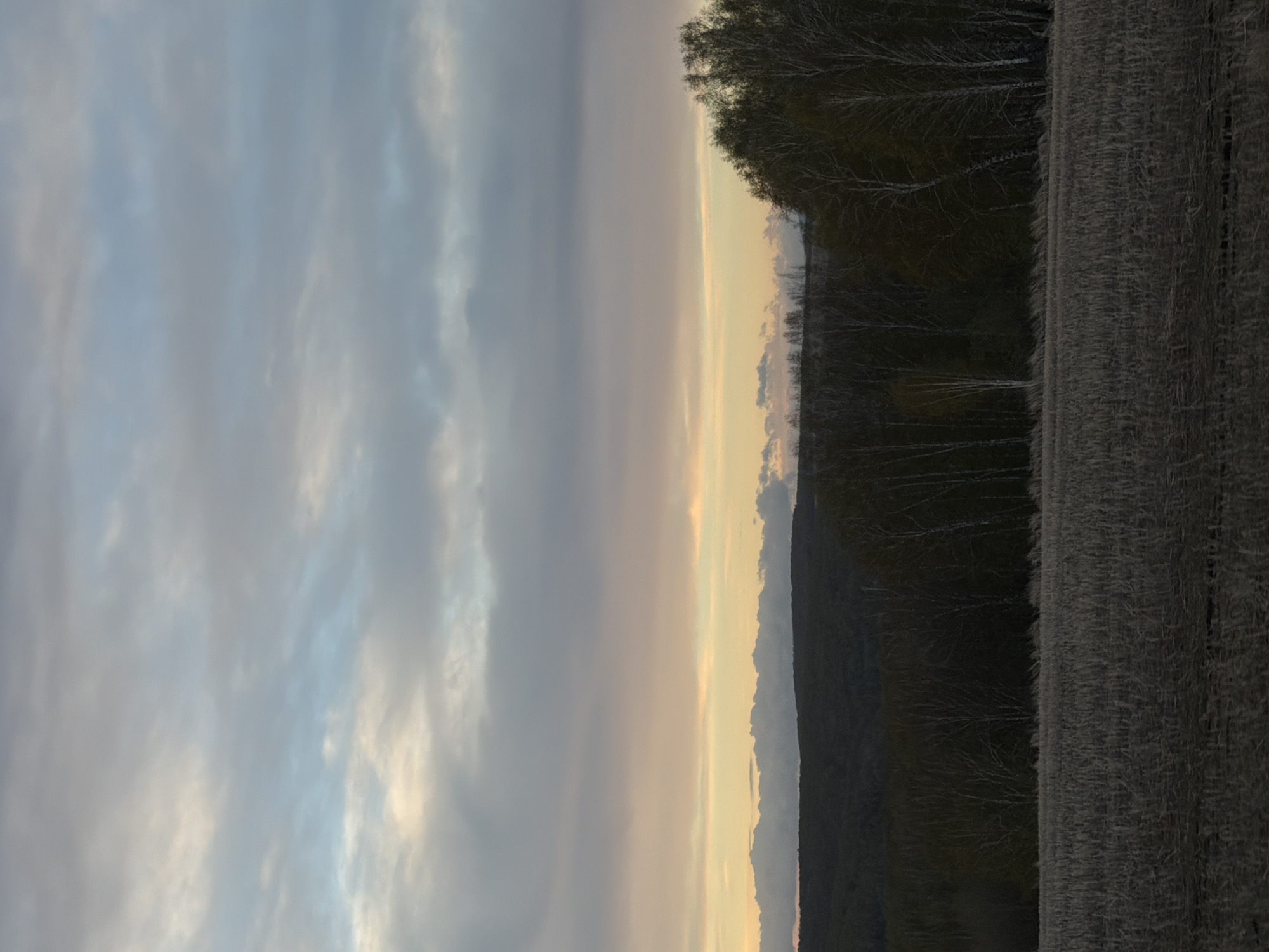 The image depicts a landscape with a clear division between the sky and land. The left side of the frame shows a cloudy sky, with colors ranging from blue to gray and white, suggesting either dawn or dusk. The right side features a dark, dense area that appears to be a forest or wooded area, alongside what seems to be a textured field or grassland. The coloration indicates it may be twilight or near darkness on the land portion. There's no immediate evidence of human presence or cityscapes, and the location, Krasnaya, Russia, isn't visually verifiable within the frame without further context.