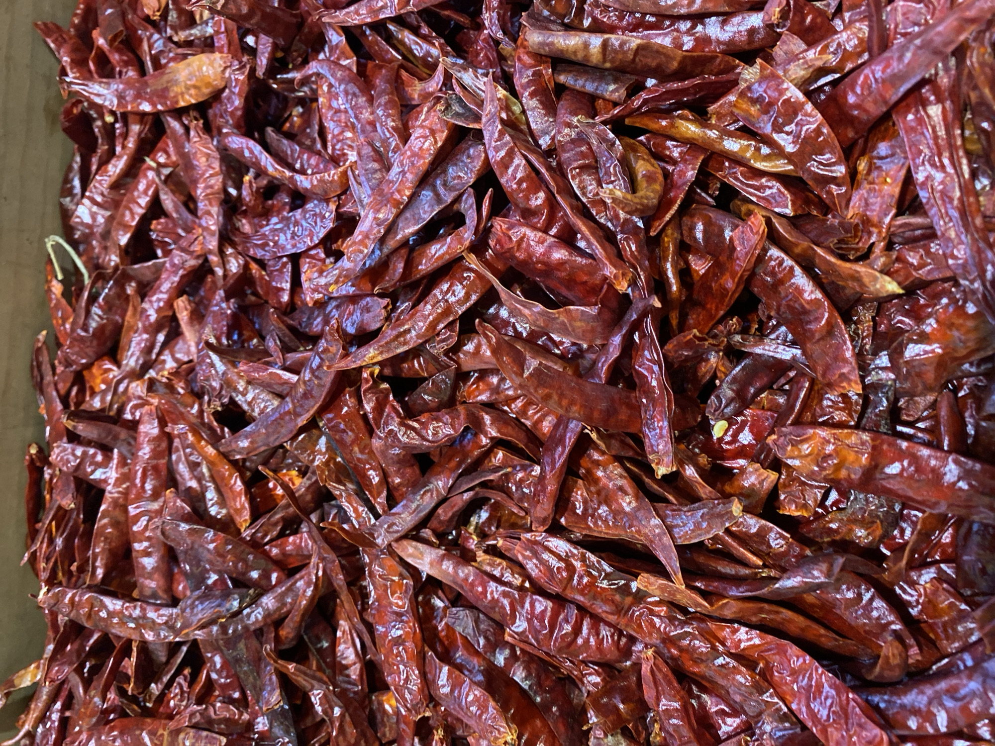 The image shows a close-up, high-angle view of a large quantity of dried red chili peppers. The peppers are densely packed together, exhibiting a range of shapes and sizes, with varying degrees of wrinkling and sheen on their surfaces. The color is primarily a deep, reddish-brown, with some peppers showing darker, almost black tones, and others with hints of orange or yellow. There is no evidence of people or activities in this scene. It is not possible to verify this image was taken in San Bernardino Tlaxcalancingo, Mexico, as the image itself does not provide this information.