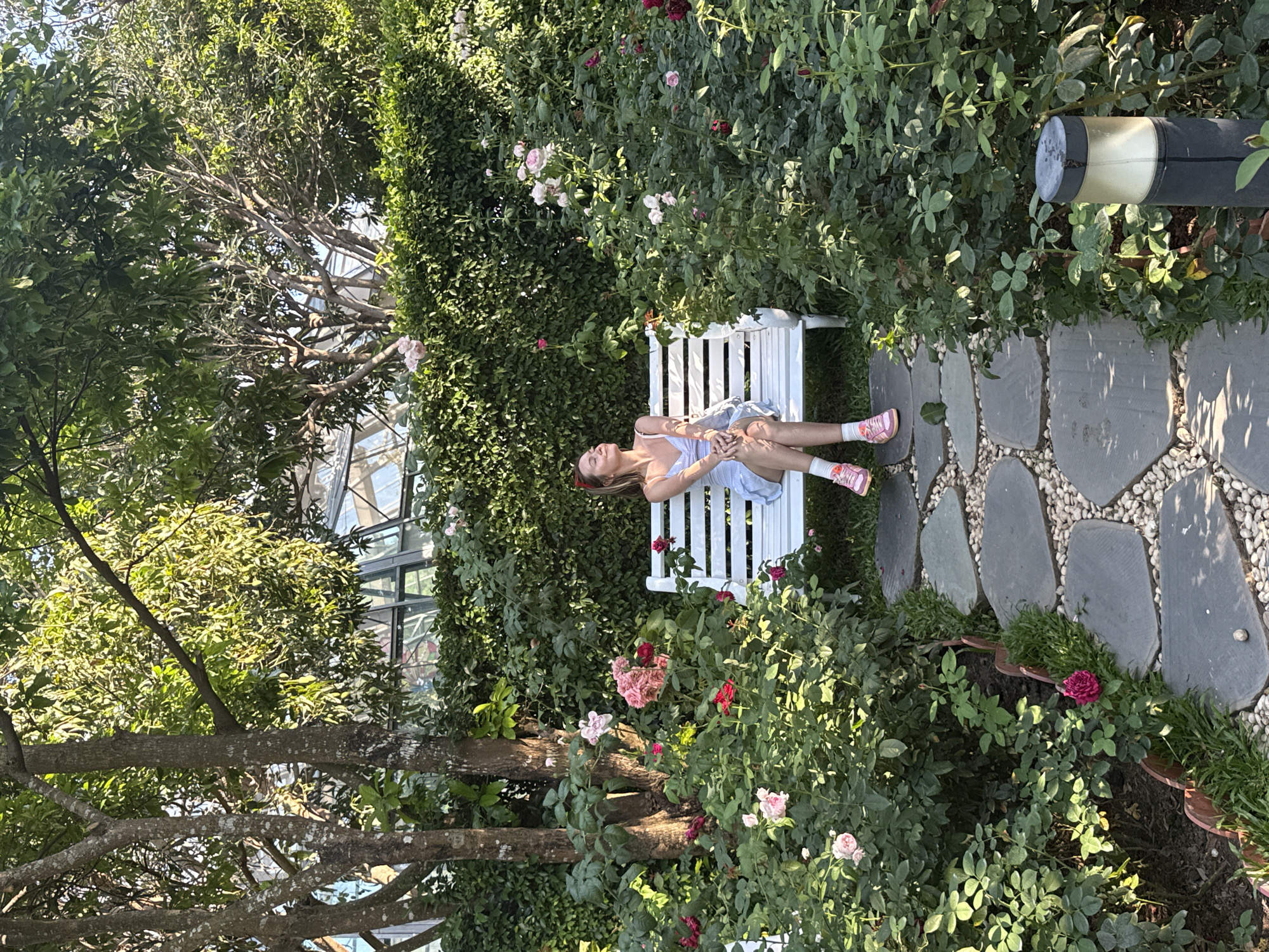 The image captures a peaceful garden scene in bright daylight, likely in Nha Trang Ward, Vietnam. A young woman is the central subject, comfortably resting on her back on a white slatted garden bench. She appears relaxed, with her eyes closed or looking upwards. She is dressed in a light-colored top or dress, shorts, pink sneakers, and white socks, with a reddish headband in her hair.
The bench is nestled within a vibrant and lush garden, surrounded by dense green foliage. Numerous rose bushes with both delicate pink and vivid red blooms are visible around the bench, creating a colorful and fragrant environment. Behind the woman, a tall, neatly trimmed green hedge provides a rich backdrop. To the left, mature trees with prominent branches and green leaves frame the upper portion of the scene. Partially visible through the tree canopy is a structure resembling a greenhouse or a large building with glass panels, reflecting the bright sky.
On the right side of the image, a winding garden path is laid out with large, irregularly shaped grey stepping stones, separated by small, light-colored pebbles. A modern garden lamp, black with a beige light cover, is situated near the path. The strong, direct sunlight casts distinct shadows, indicating a clear and sunny day. The overall impression is one of serenity and natural beauty in a meticulously maintained outdoor space. No visible text is present in the image.