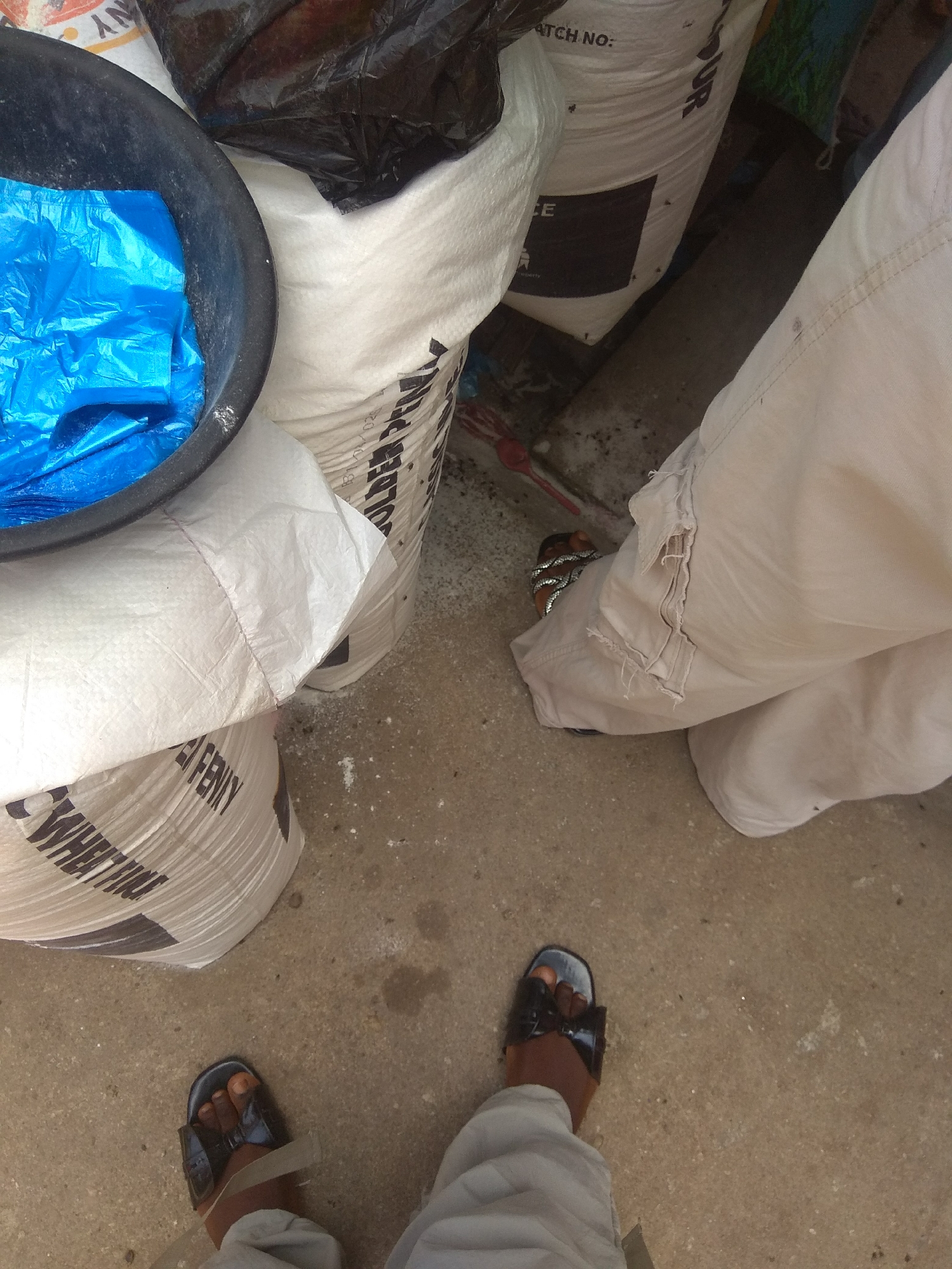 The image shows a close-up, overhead view of a person's legs and feet, along with several large bags and a black bucket containing a blue plastic liner. The person is wearing light-colored, possibly tan, cargo pants and dark sandals. The pants appear worn and slightly distressed. The sandals are open-toed, with dark straps. One foot is angled towards the right, while the other is mostly obscured.
The background consists of several large, white woven bags, likely filled with some kind of bulk material. Text is visible on some of these bags. On one bag, the words "WHEAT FLOUR" are clearly legible. Another bag has "BATCH NO:" printed near the top. There are also some black plastic bags and a red object that might be a broom or mop handle visible in the background. The ground is a light-colored, textured surface, possibly concrete or pavement, with some scattered white specks.
The scene appears to be outdoors, given the lighting and the setting. There are no clear indicators of the time of day or weather conditions. The overall impression is one of a utilitarian or storage area, possibly a market or a warehouse in Jalingo, Nigeria, where these types of bulk bags are commonly found. The focus on the person's lower extremities and the surrounding objects suggests the image might be documenting an individual's presence in this environment or a specific task being performed.
