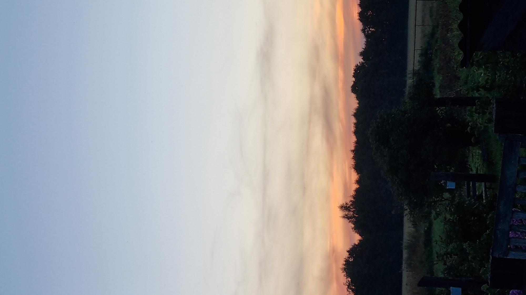 The image depicts a serene outdoor scene at dusk, likely in Vysokoe, Russia, given the provided context. The sky transitions from a pale blue at the top to soft hues of orange and pink near the horizon, indicating the setting sun. A dense line of dark trees forms a natural barrier across the midground. In the foreground, there is lush green vegetation, including bushes and a tree, with a wooden bench visible in the lower left and right corners, suggesting a garden or park setting. A fence is partially visible behind the vegetation. The overall impression is one of tranquility and natural beauty as day transitions into night. There are no people or animals visible in the image.