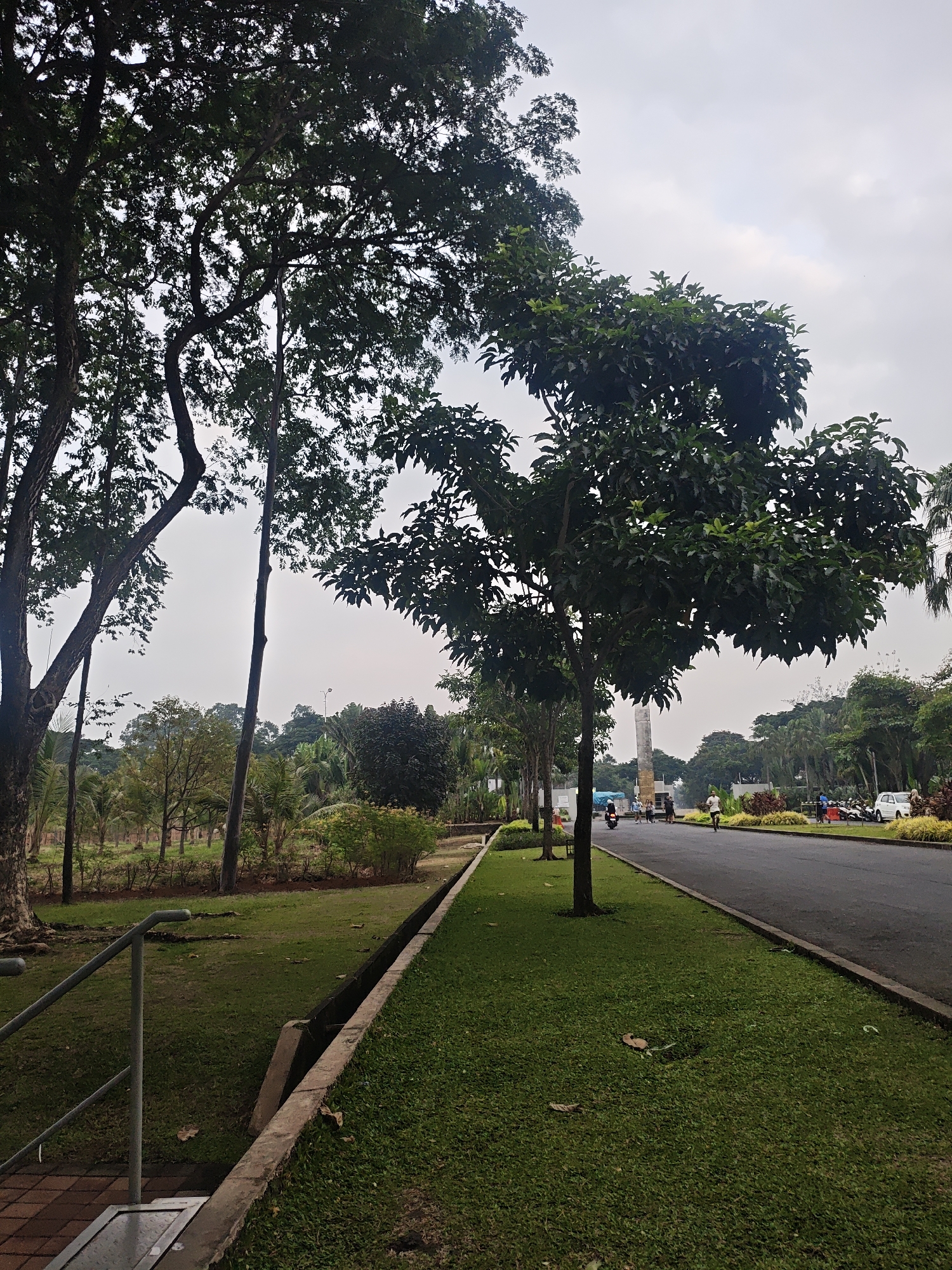 The image depicts a tree-lined road in Bacin, Indonesia. Tall trees with dense green foliage flank a paved road on the right side, where several individuals are visible. A person is running on the road, and others are on motorcycles. On the left, a grassy slope leads to a sidewalk with a metal railing and brick steps. Beyond the slope, more trees and vegetation are present. The sky is overcast.
