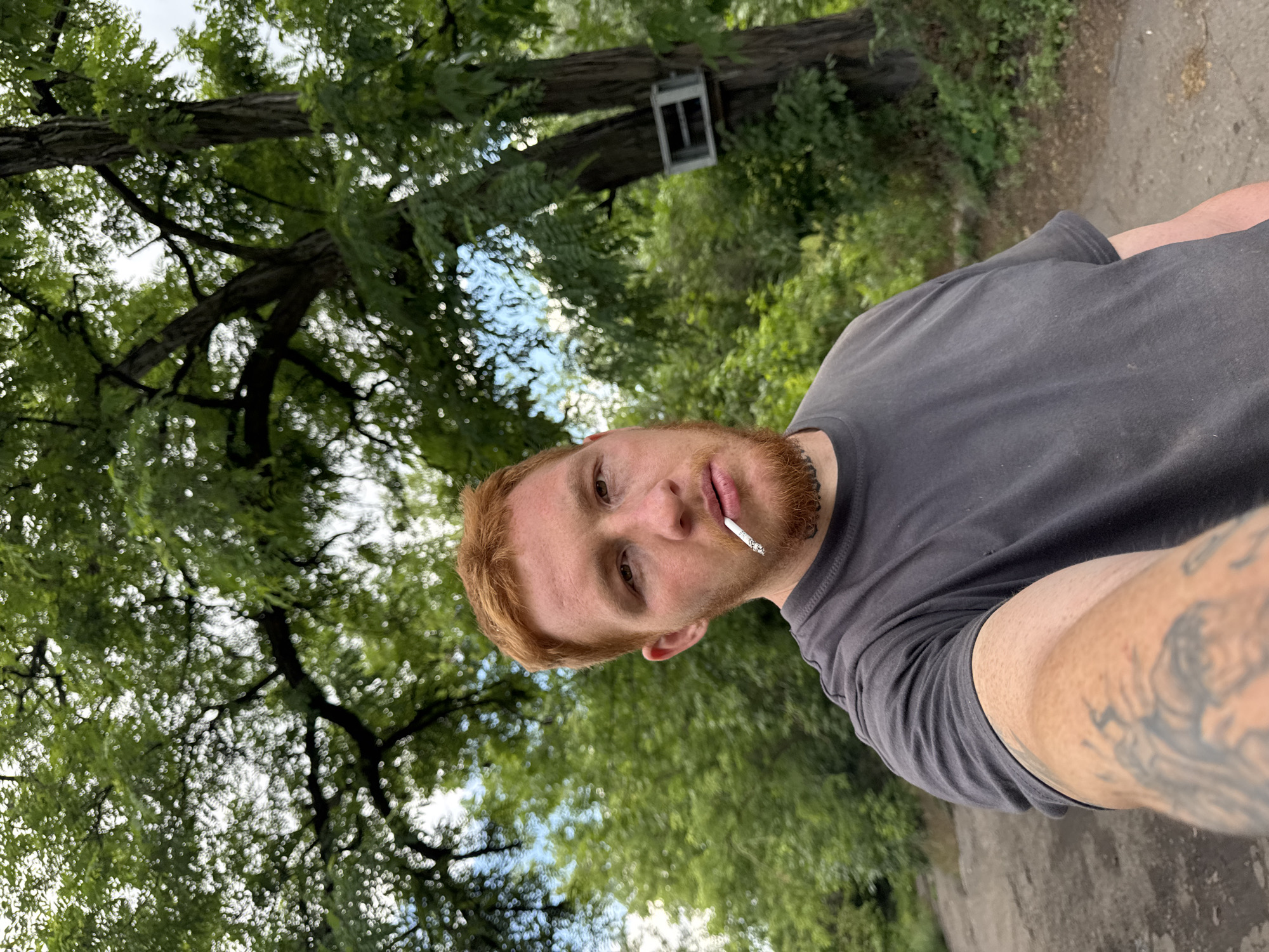 This is a selfie taken by a man with red hair and a beard. He is wearing a grey t-shirt and has a cigarette in his mouth. He has tattoos on his arm. The background is blurred, but it appears to be outdoors with trees and greenery. There is a light-colored box attached to a tree trunk in the upper part of the image. The lighting suggests it is daytime. The man's expression is neutral. The image is oriented sideways.