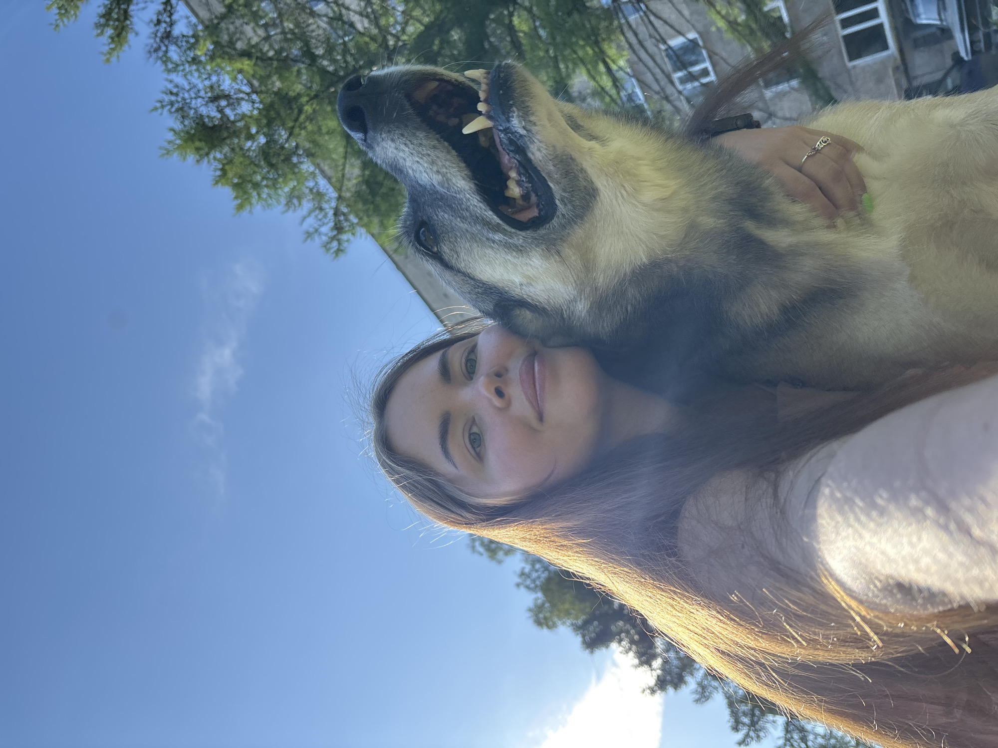 A young woman is holding a large dog with its mouth open in a selfie taken outdoors. The woman has long brown hair and fair skin. She is wearing a ring on her right hand and has green nail polish. The dog has gray and white fur and sharp teeth. The background includes a blue sky with clouds, green trees, and buildings. The location is Izhevsk, Russia.
