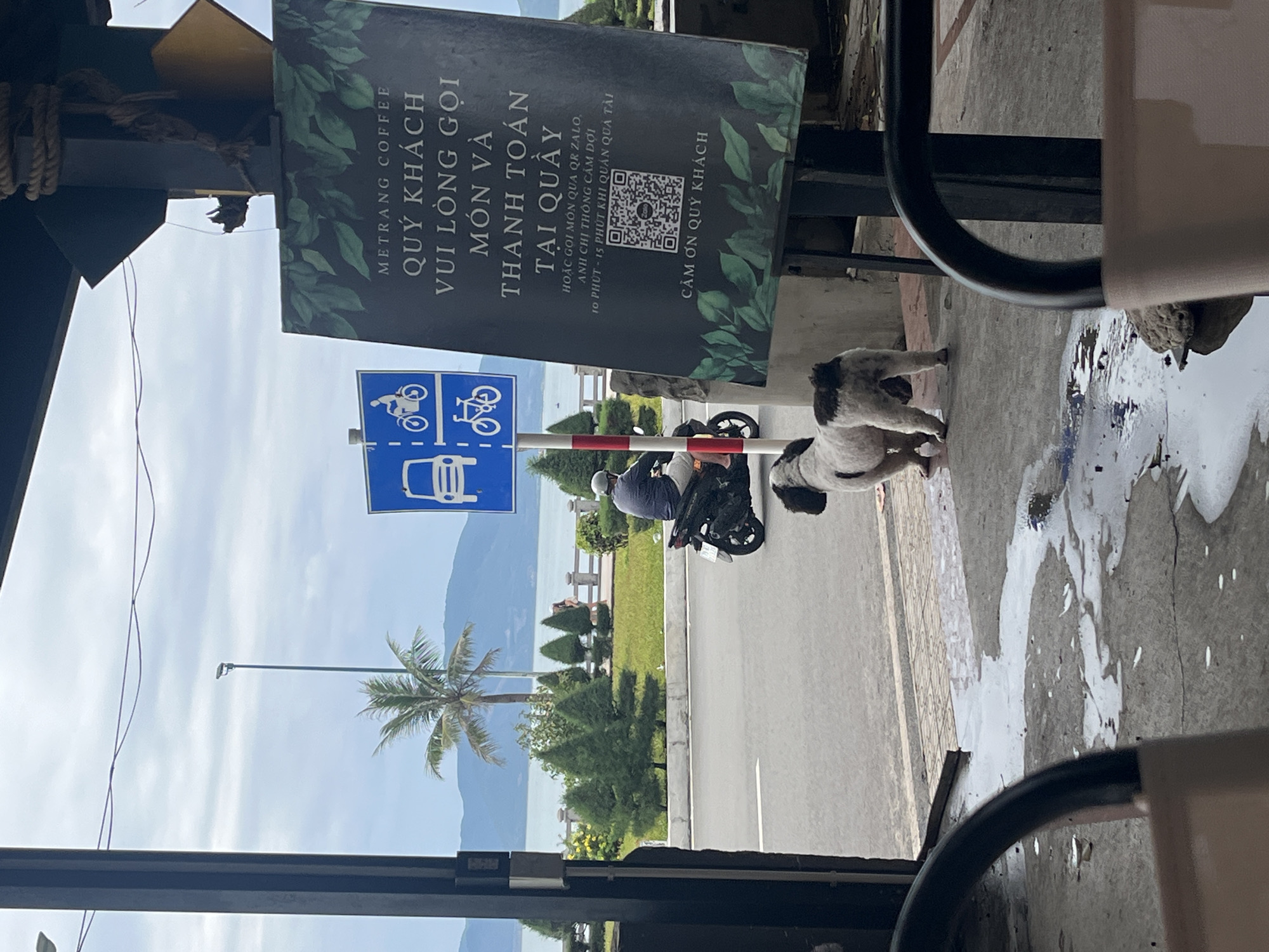 The image depicts an outdoor scene in Bac Nha Trang Ward, Vietnam. A view of a road with a palm tree and mountains in the background is partially obscured by signage. A sign for Metrang Coffee features Vietnamese text and a QR code. A blue traffic sign indicating permissible vehicles is visible next to it. A motorbike with a rider wearing a helmet is on the road. A dog is present on the sidewalk. The photo is taken from a vantage point inside a structure, with furniture visible in the foreground.