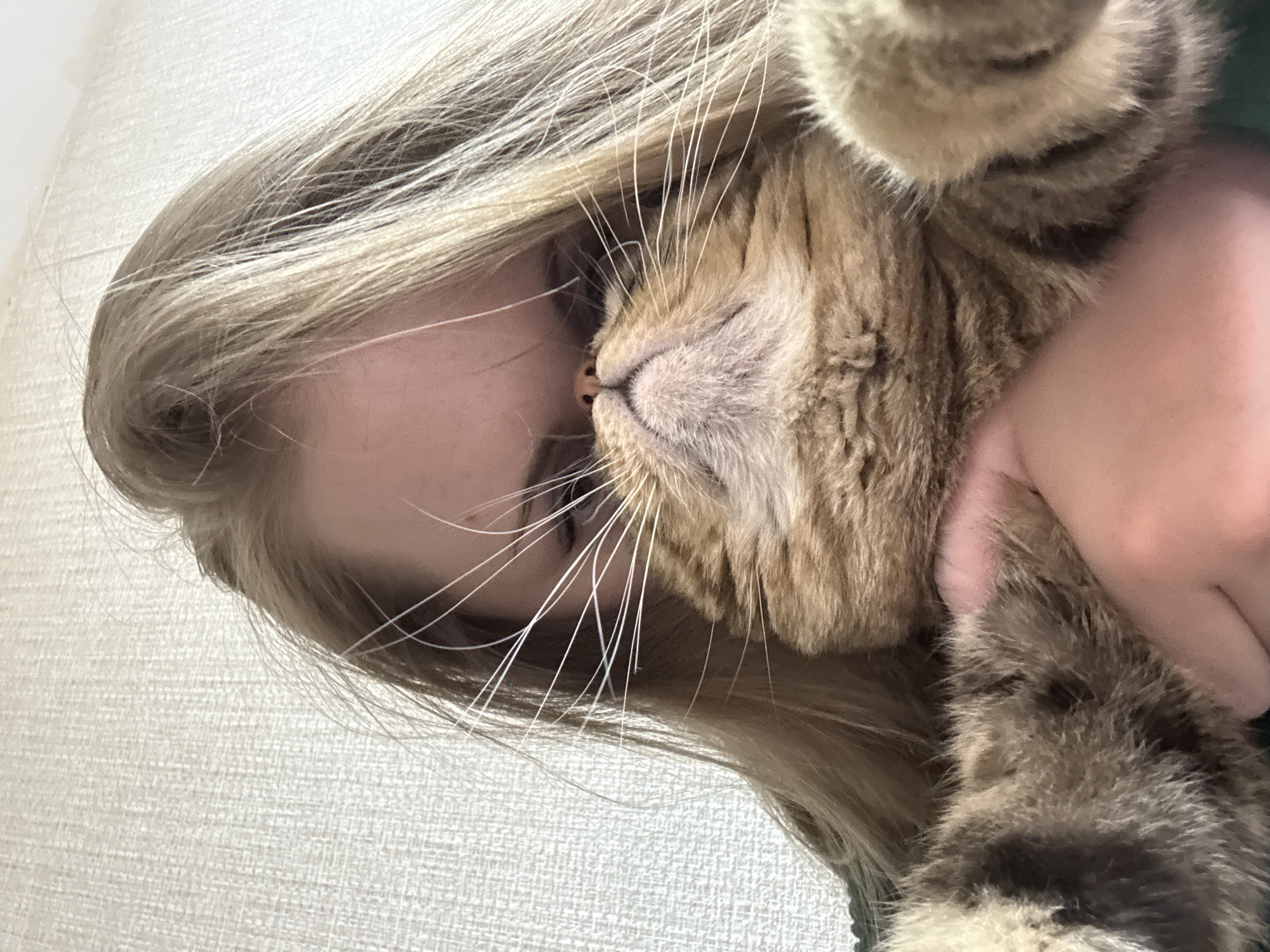 An intimate, close-up shot captures a person affectionately interacting with a cat in an indoor setting. The image is oriented vertically, showing the person's face and blonde hair intertwined with the cat's head and a paw.
The main subjects are a person and a domestic cat. The person's face is partially visible on the left side of the frame, showing their cheek, nose, and the edge of an eye. Their long, light blonde hair cascades around the cat's head, suggesting close contact.
The cat, likely a tabby with brown, black, and cream-colored striped fur, is prominently featured in the center. Its muzzle, delicate pinkish-brown nose, and numerous long white whiskers are in clear focus, pressed gently against the person's face. The cat's eyes appear to be closed, conveying a sense of relaxation and contentment. One of the cat's front paws, showing its fur patterns, is raised and visible on the upper right side of the image, possibly being held or resting on the person. A hand, likely belonging to the person, is visible on the right, cradling the cat.
The activity depicted is a moment of deep affection or snuggling between the person and the cat. The close proximity of their faces, with the cat's nose touching the person's cheek, highlights a strong bond and tenderness.
Notable details include the soft, textured light-colored background, possibly a wallpaper or fabric wall, which provides a simple backdrop and emphasizes the subjects. The cat's whiskers are particularly striking, fanning out across the person's face. The scene evokes feelings of comfort, warmth, and mutual trust. There is no visible text in the image.