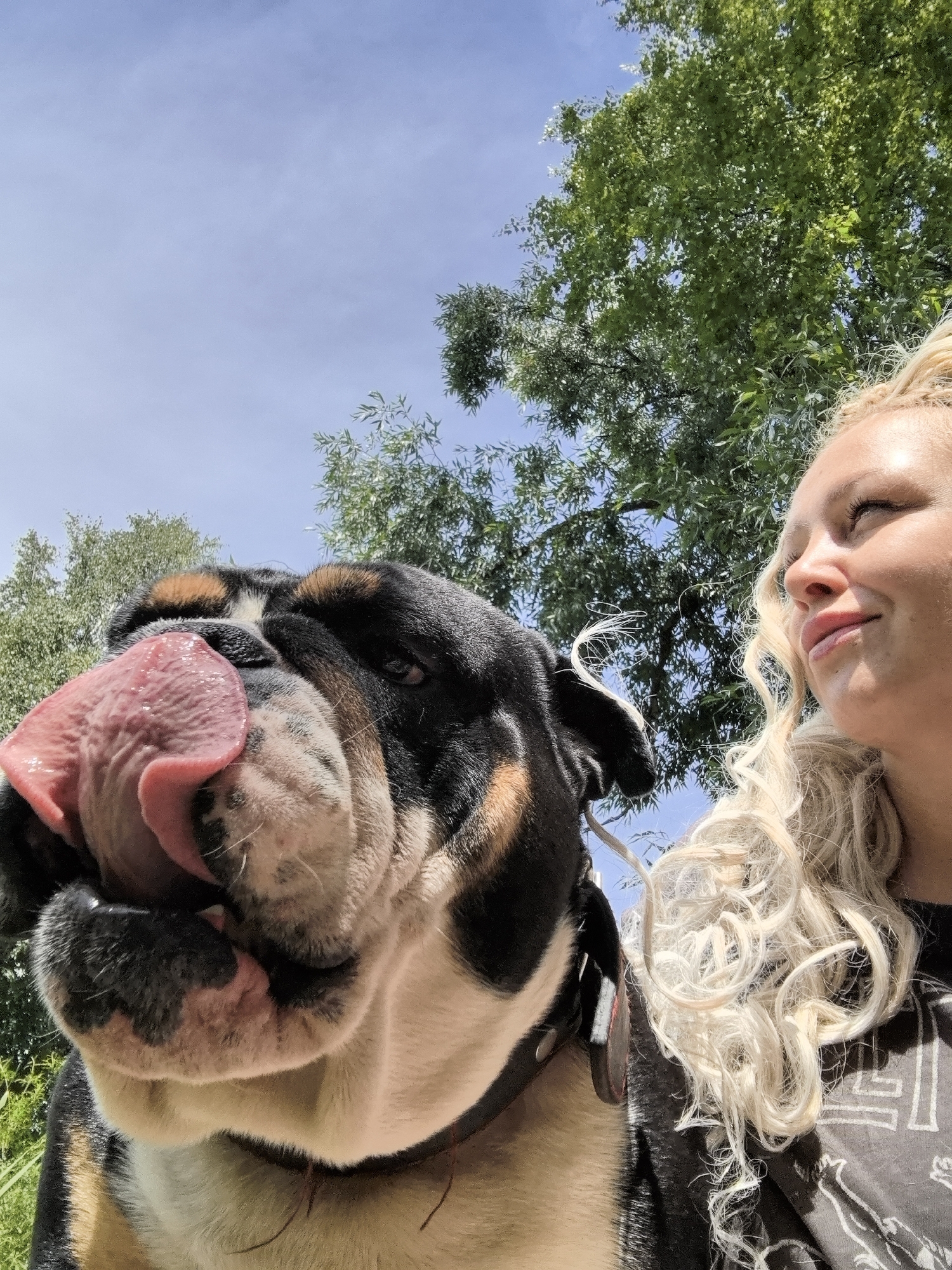 The image is a close-up selfie of a woman and a dog outdoors, with a bright blue sky and lush green trees in the background. The woman, with blonde curly hair, is smiling as she looks up and to the right. Beside her, a large dog, possibly a bulldog mix, with a black, brown, and white coat, is sticking its pink tongue out towards the camera. The dog's face is the primary focus of the foreground. The scene appears to be in a natural, park-like setting, possibly in the city of Noviy, Russia, given the clear sky and abundant foliage.