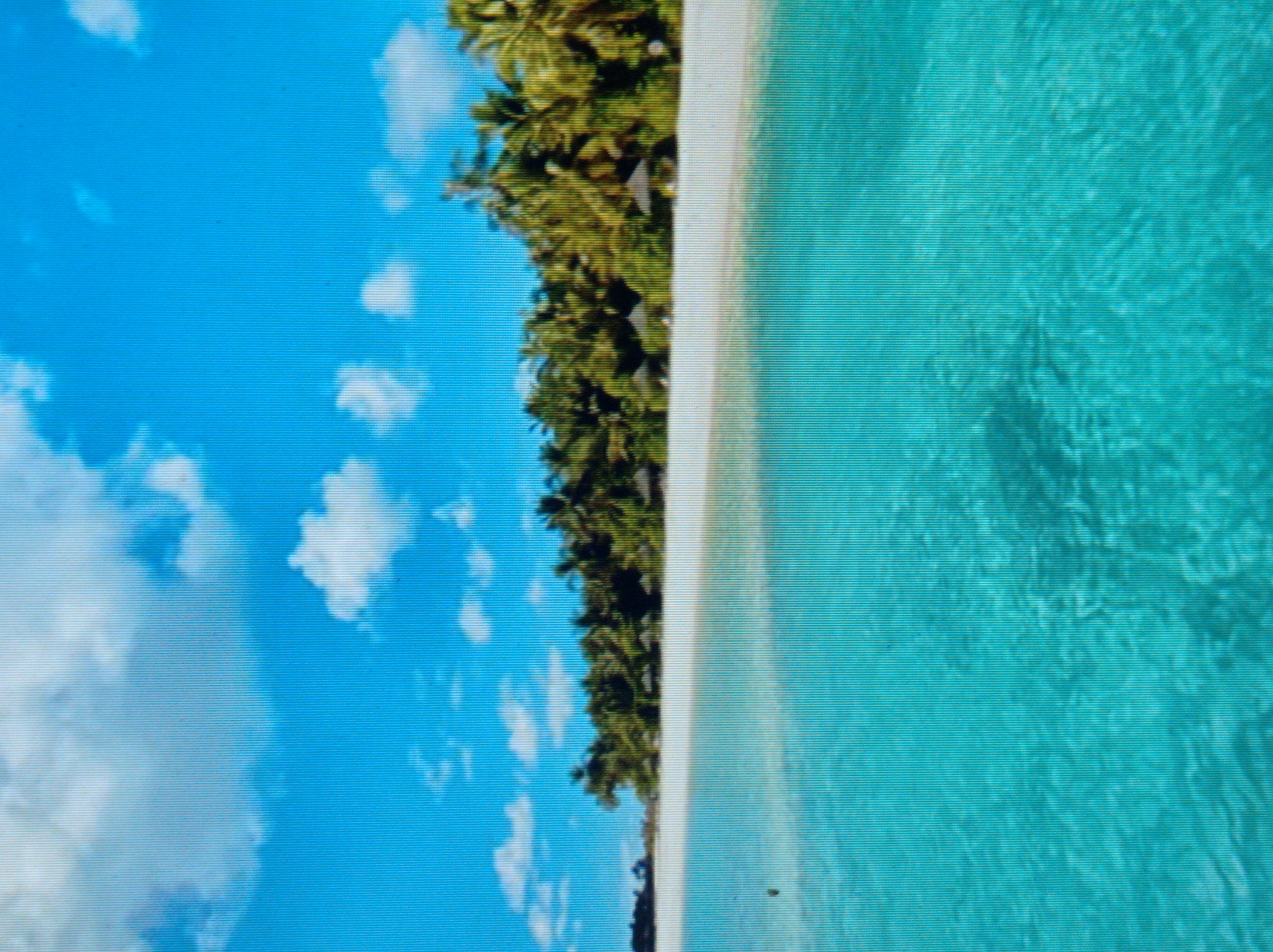 The image depicts a tropical beach scene with clear turquoise water in the foreground. A white sandy beach stretches into the distance, lined with lush green palm trees. The sky is a vibrant blue, dotted with fluffy white clouds. There are a few small thatched umbrellas visible on the beach, suggesting a resort or relaxation area. The overall impression is one of tranquility and a picturesque coastal environment. This image does not depict any location within the city of Mukachevo, Ukraine, as the environment is clearly tropical and coastal, which is not characteristic of Mukachevo.