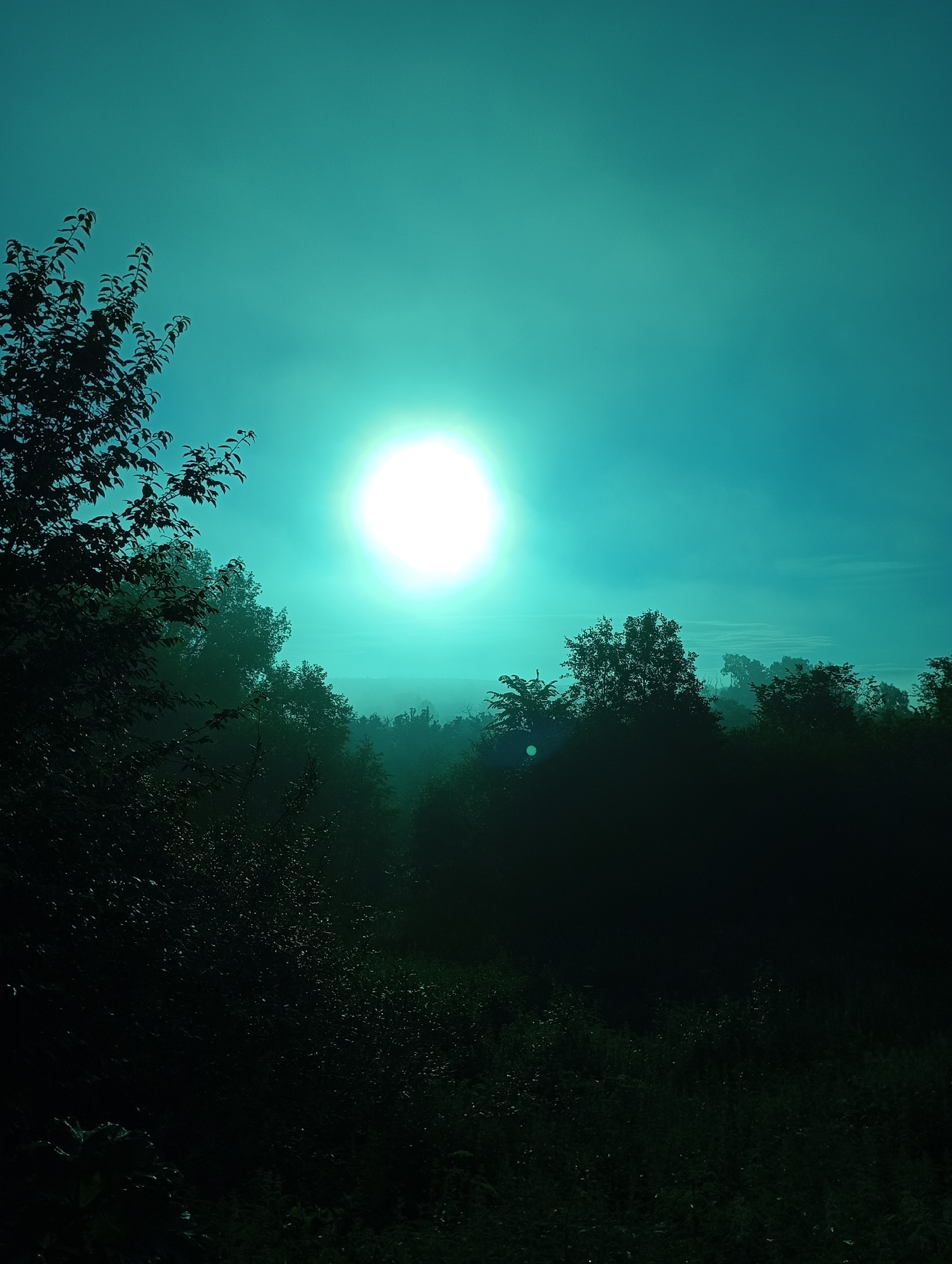 The image depicts a landscape scene with a bright, glowing sun centered in the upper half of the frame against a teal sky. Silhouetted trees and foliage dominate the lower half of the image, creating a dark foreground and midground. In the distance, a hazy horizon suggests a valley or expanse of land shrouded in mist. The overall atmosphere is serene and natural, with no visible people or structures. The scene is located in Ryabki, Russia.