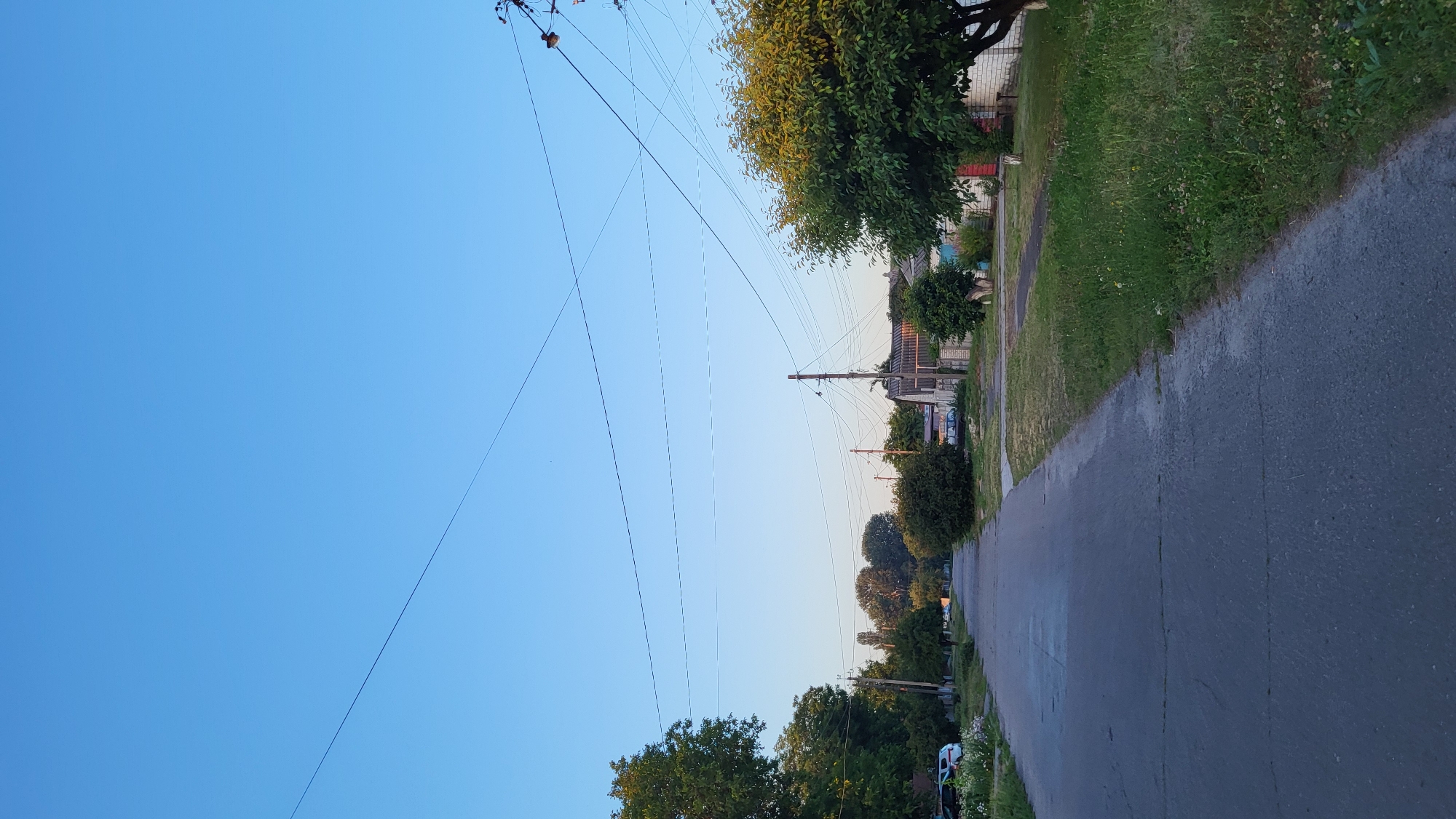 The media file displays a street scene in what appears to be a rural or suburban residential area. The perspective is from the side of an asphalt road, which curves gently into the distance. On the right side of the road, there is a strip of grass, some of which is overgrown with wildflowers. Beyond the grass, there are houses with brick and siding exteriors, and trees of varying sizes.
Dominating the sky are numerous power lines, crisscrossing the frame and converging towards utility poles. The sky itself is a clear, serene blue, suggesting fair weather. The lighting indicates either early morning or late afternoon, with the sun casting a soft glow on the scene and long shadows are not visible.
The presence of houses, a road, and utility lines points to a developed, inhabited area. No people are clearly visible, but a white vehicle with red markings is parked on the side of the road near the foreground. The overall mood is calm and ordinary, capturing a quiet moment in a residential neighborhood. No text is discernible in the image.