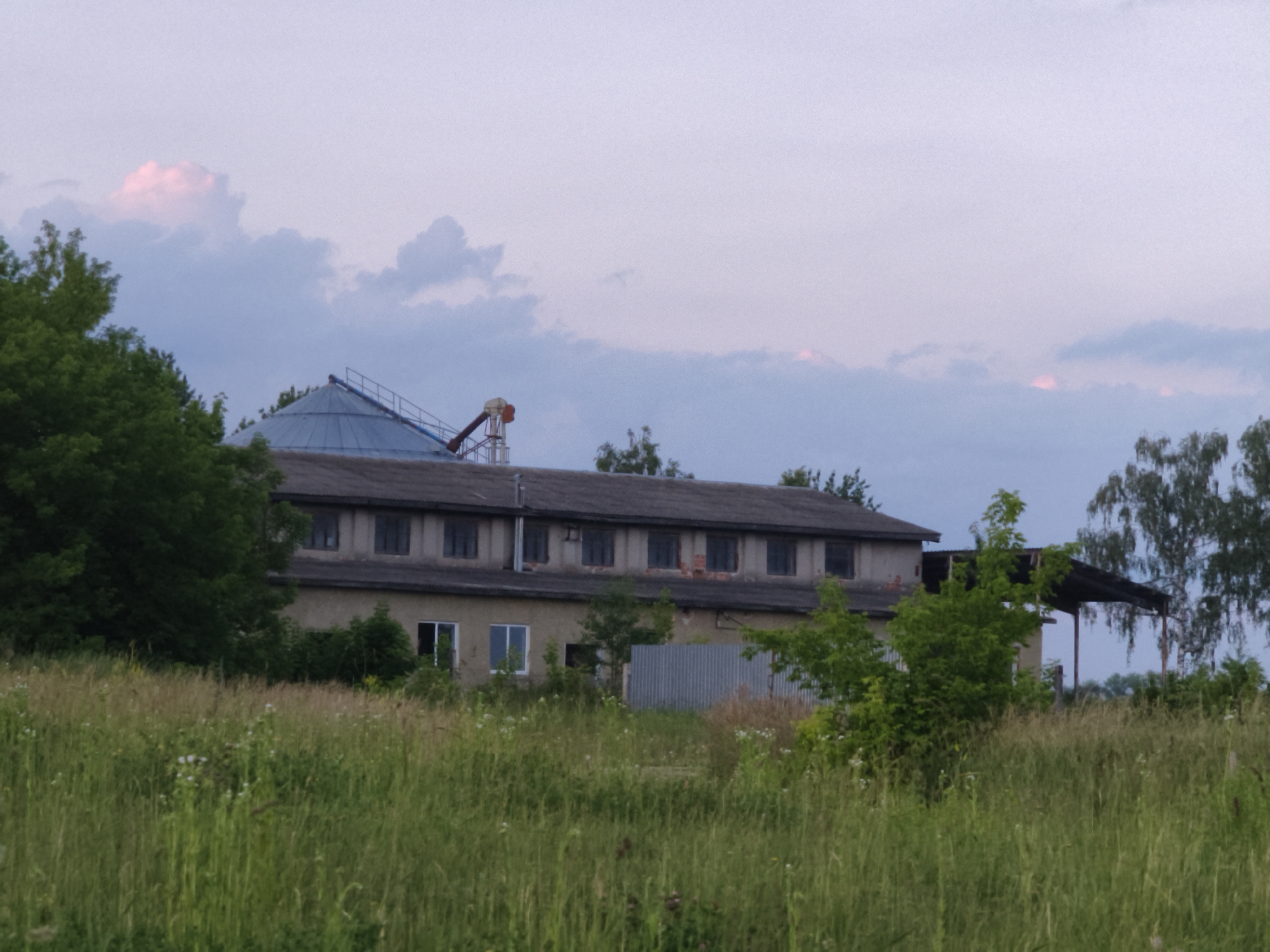 The image depicts a rural scene with an industrial building and surrounding vegetation. The building is a long, two-story structure with a dark, sloped roof. It has numerous windows, many of which are dark or appear to be boarded up. The facade is made of concrete blocks, and some sections show signs of wear and tear, with exposed brick.
To the left of the building, a large, conical silo is visible, topped with a metal structure and an orange chute. A conveyor belt extends from the silo.
The foreground is dominated by tall, green grass and wildflowers, suggesting an overgrown or unkempt field. To the left, a dense, large green tree stands prominently. In the background, several tall, slender trees are visible, their foliage lighter and sparser than the tree on the left.
The sky is a pale, dusky hue, with scattered clouds. Some of the clouds have a faint pinkish glow, indicating either sunrise or sunset. The overall lighting suggests it is late in the day or early morning. There are no people or animals visible in the image. The scene appears to be located in an agricultural or industrial outskirts area, likely in a rural setting.