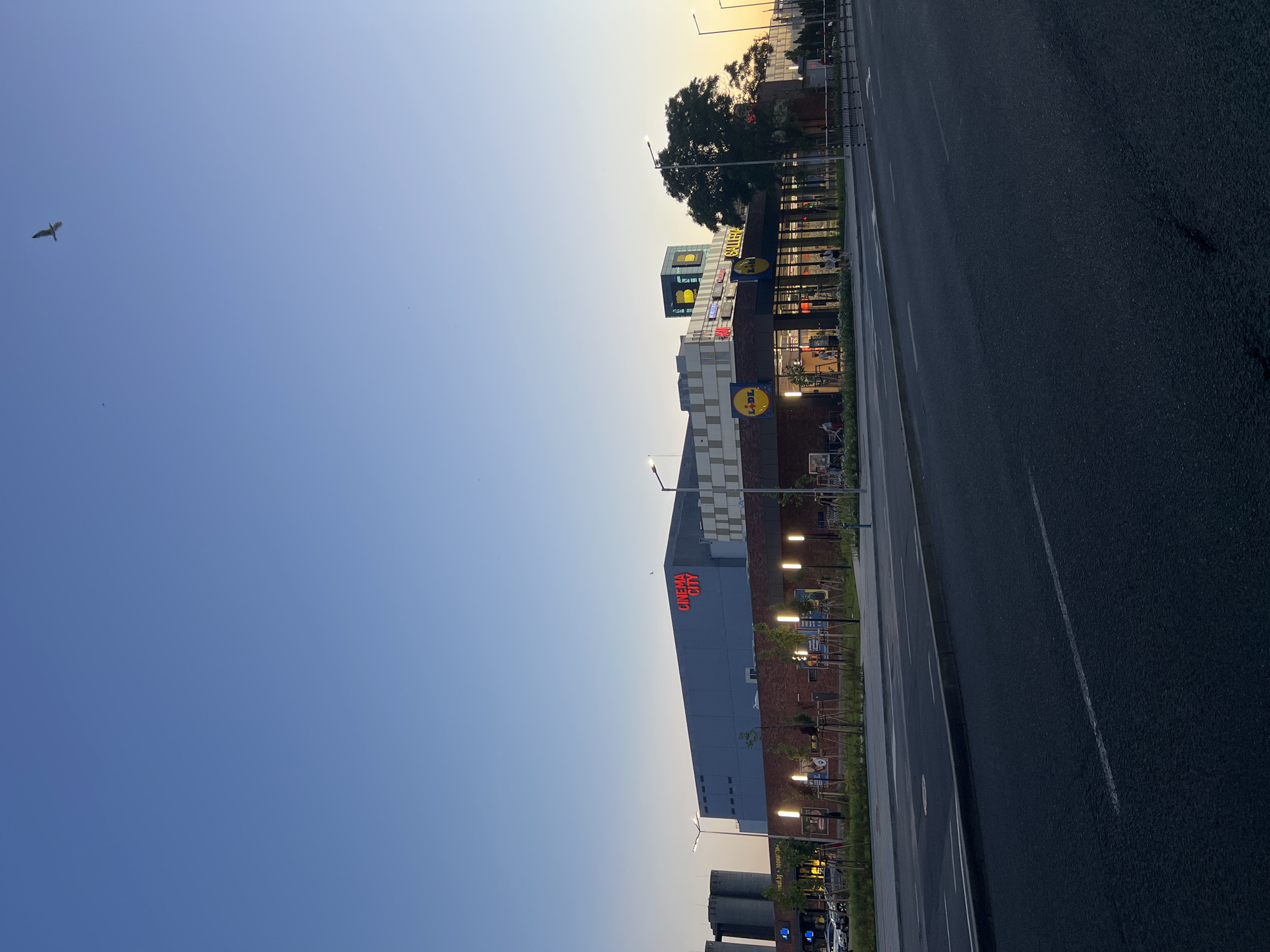 The image depicts a street view of the Galleria Burgas mall in Burgas, Bulgaria, during what appears to be the late afternoon or early evening. A prominent "CINEMA CITY" sign is visible on the large, gray building in the background. To the right, the façade of the mall features glass storefronts and illuminated signs for various businesses, including "Lidl" and "Galleria."
In the foreground, a wide asphalt road with lane markings stretches across the frame. A sidewalk with greenery, trees, and streetlights runs along the front of the mall. A few cars are parked on the left side of the road, and a couple of individuals can be seen walking along the sidewalk. The sky above is a clear, pale blue, transitioning to a warmer hue near the horizon, suggesting either sunrise or sunset. A single bird is flying in the upper portion of the sky. The overall scene is one of a commercial area on a calm day.
