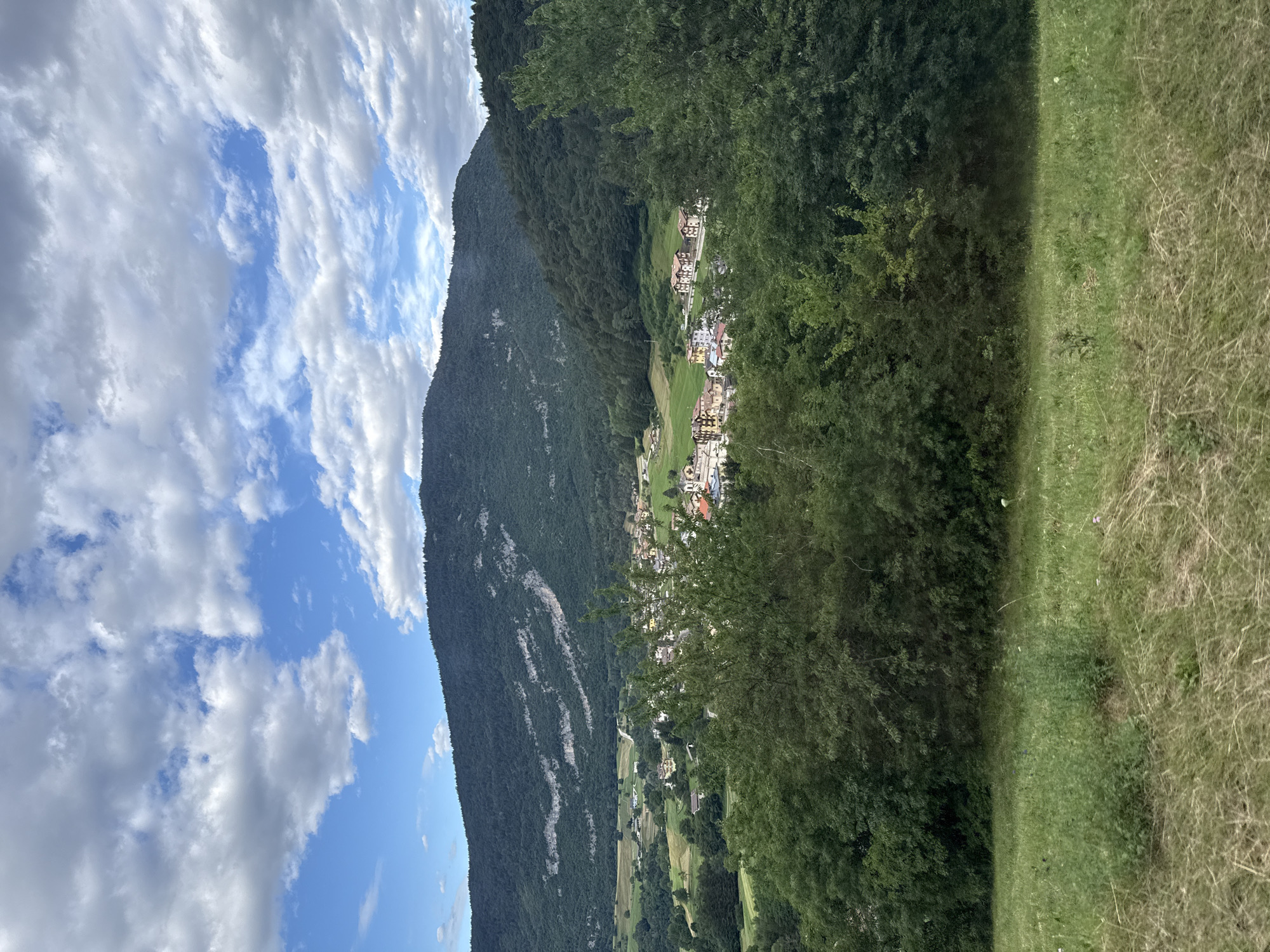 The image depicts a scenic overview of a valley in Cavedago, Italy, under a partly cloudy sky. The foreground is dominated by a grassy field, with some areas of dry grass. Beyond the field, a dense line of green trees forms a natural barrier. In the midground, a small village is nestled in the valley, characterized by multi-story buildings with red-tiled roofs. The village is surrounded by green pastures and agricultural fields. The background features a large, densely forested mountain, with some exposed rocky outcrops and a lighter, mountainous ridge line visible towards the top. The overall scene conveys a sense of rural tranquility and natural beauty.