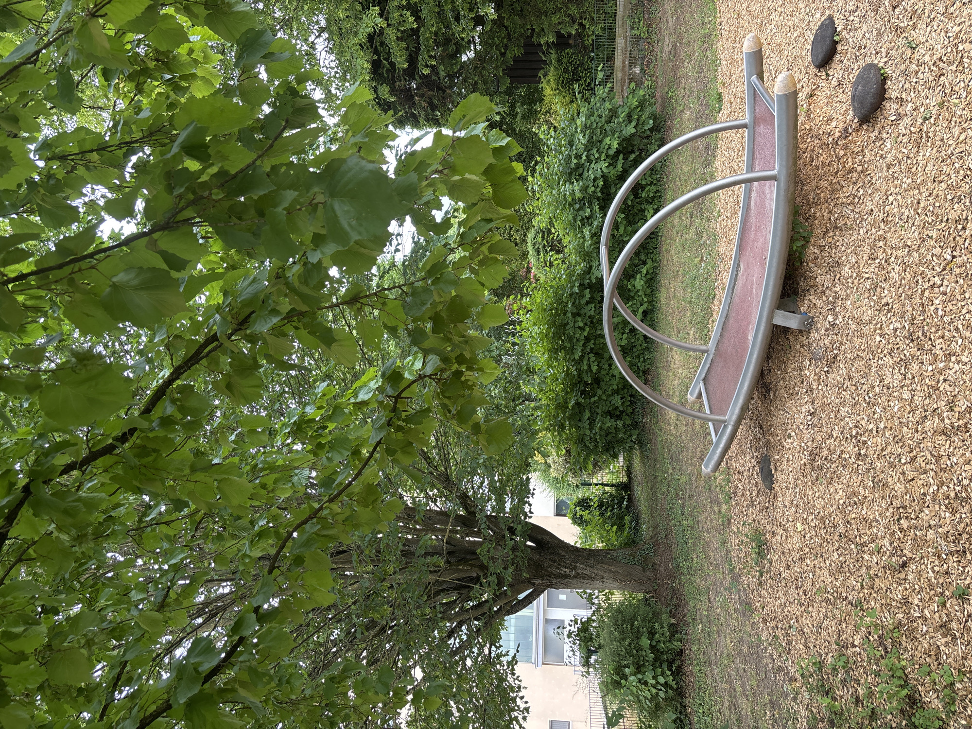 A medium shot captures a playground's spring rider, a curved metal and red plastic apparatus, situated on a bed of wood chips in an outdoor setting. The rider is positioned on the right side of the frame, its arc dominating the foreground. To the left and in the background, lush green foliage from trees and bushes creates a dense, natural environment. A large tree with a textured bark trunk stands prominently in the mid-left, its branches and leaves arching over the scene. A portion of a modern building, painted in a light color, is visible behind the tree. The ground is covered with wood chips, with scattered small green plants and two dark, rounded stones near the rider. The sky is not visible. The scene is bathed in natural light, suggesting it is daytime.