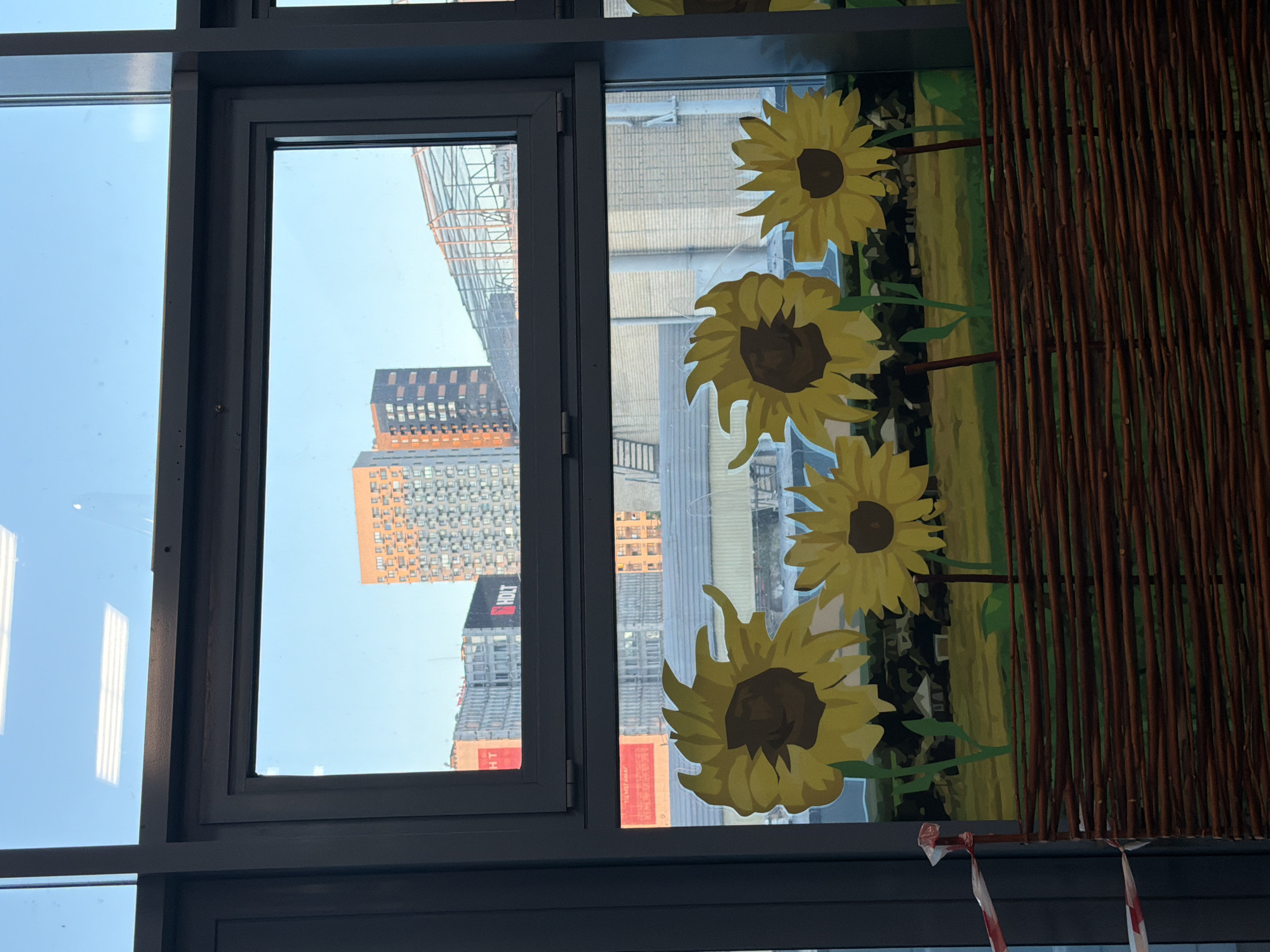 The image shows a view through a window of an urban landscape in Rostov-on-Don, Russia. In the foreground, there are decorative elements of four sunflowers. Behind the sunflowers, there is a woven brown fence. The middle ground shows buildings, some of which appear to be under construction, and a brick building. The background reveals the sky and more urban structures. The overall scene is a juxtaposition of decorative art and the city's infrastructure.
