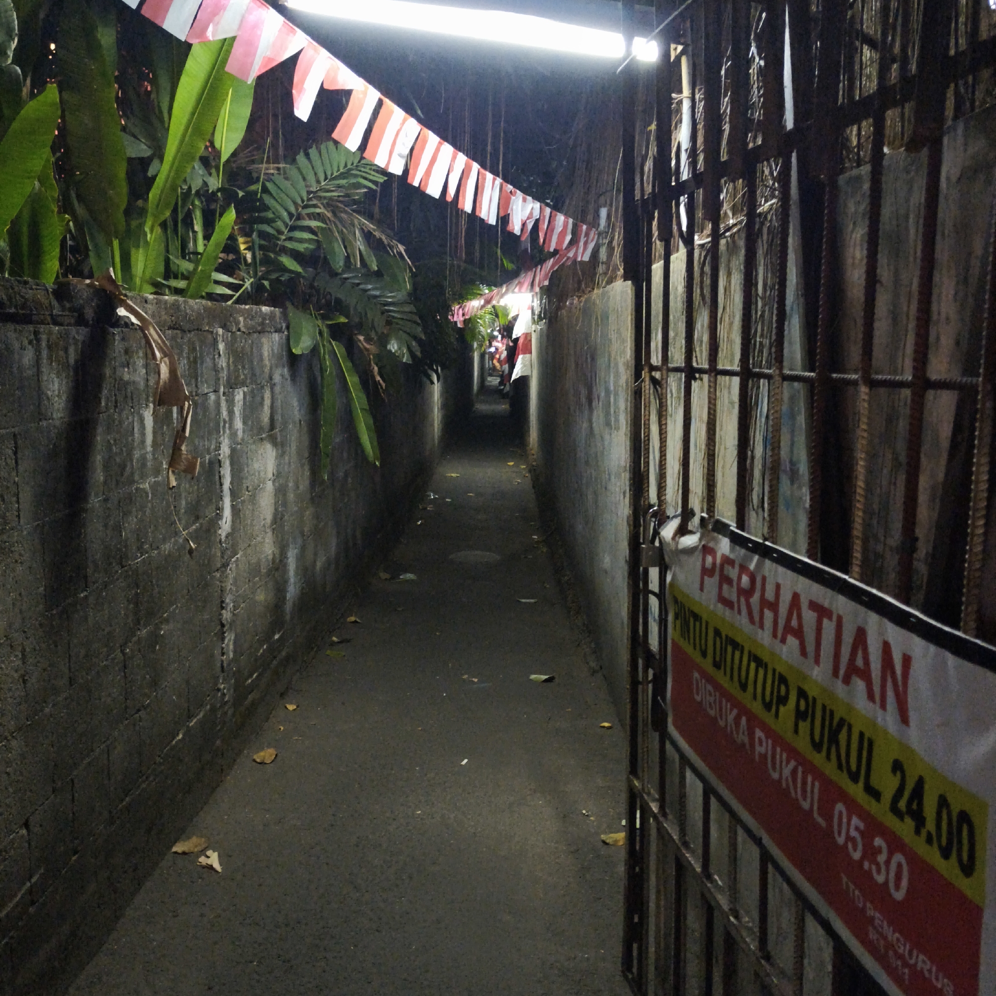 This image shows a narrow, dimly lit alleyway in South Jakarta, Indonesia. The alley is flanked by concrete walls, one of which is covered in what appears to be moss or water stains. A black metal gate with a red and yellow sign hangs in the foreground. The sign reads "PERHATIAN PINTU DITUTUP PUKUL 24.00 DIBUKA PUKUL 05.30". Red and white pennant flags are strung across the alley above the gate. Tropical plants with large green leaves are visible growing over the wall on the left side of the alley. The ground of the alley is paved and appears to be asphalt or concrete, with fallen leaves scattered on its surface. In the distance, the alley continues into darkness, with a few more pennant flags visible. The overall impression is one of a service alley or a back entrance, possibly to a commercial establishment or residential complex.