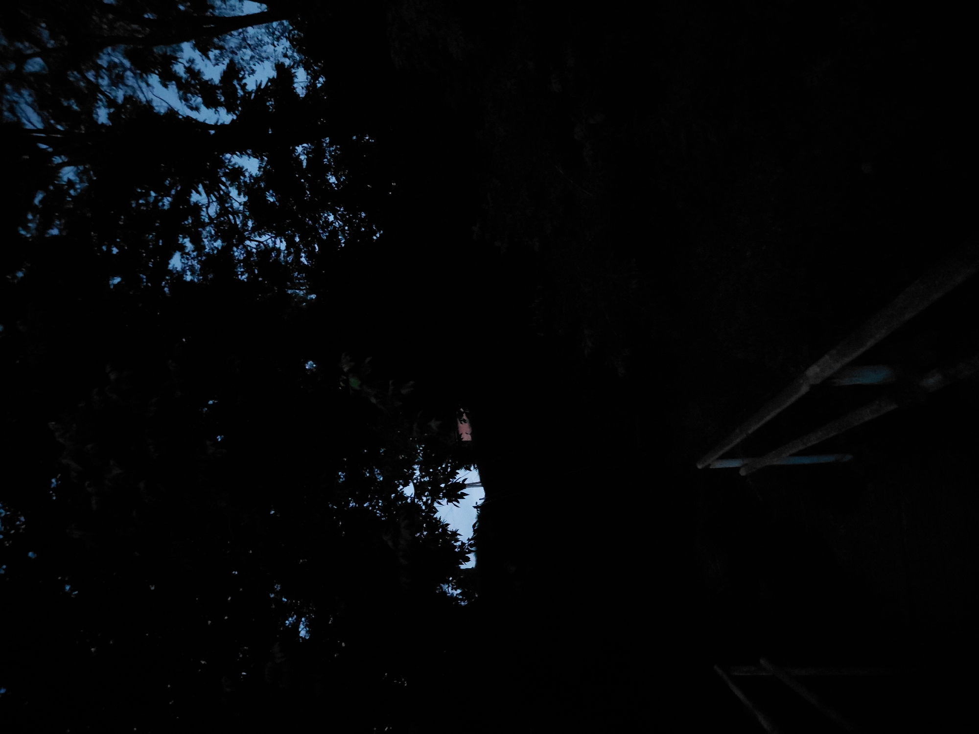 The image depicts a dark outdoor scene, possibly at dusk or night, with a focus on trees and a set of stairs. The upper portion of the image is dominated by the silhouettes of dense tree foliage against a faint, deep blue sky. In the background, visible through a gap in the trees, is a hint of a building with a red roof and a pole or structure. The foreground features a dark wooden staircase with railings on both sides, descending into darkness. The overall impression is one of low light conditions, with minimal detail visible due to shadow. There is no information in the image to suggest a specific location in Ustyvytsia, Ukraine, or any human presence or activity.